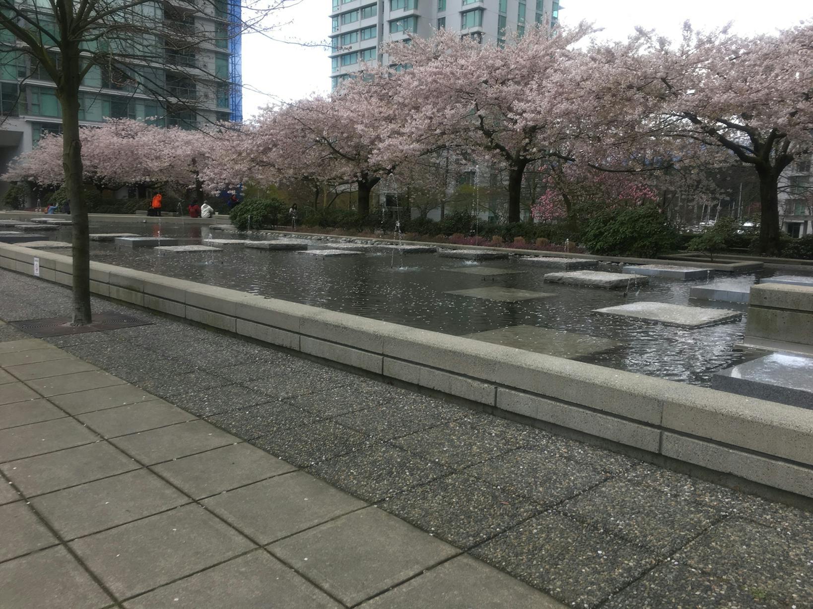 user avatar image for KM