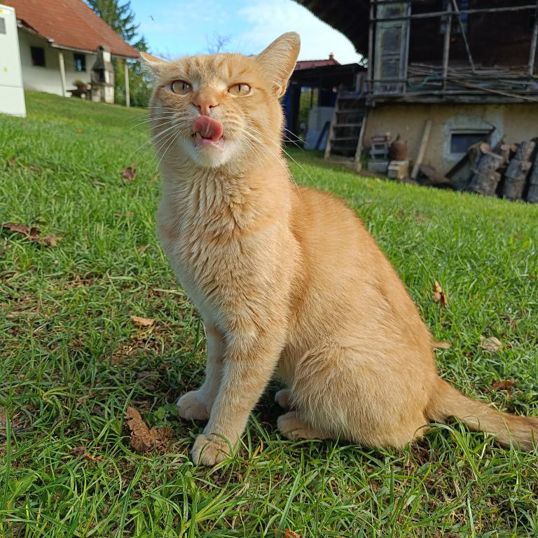 user avatar image for Cherrybean03