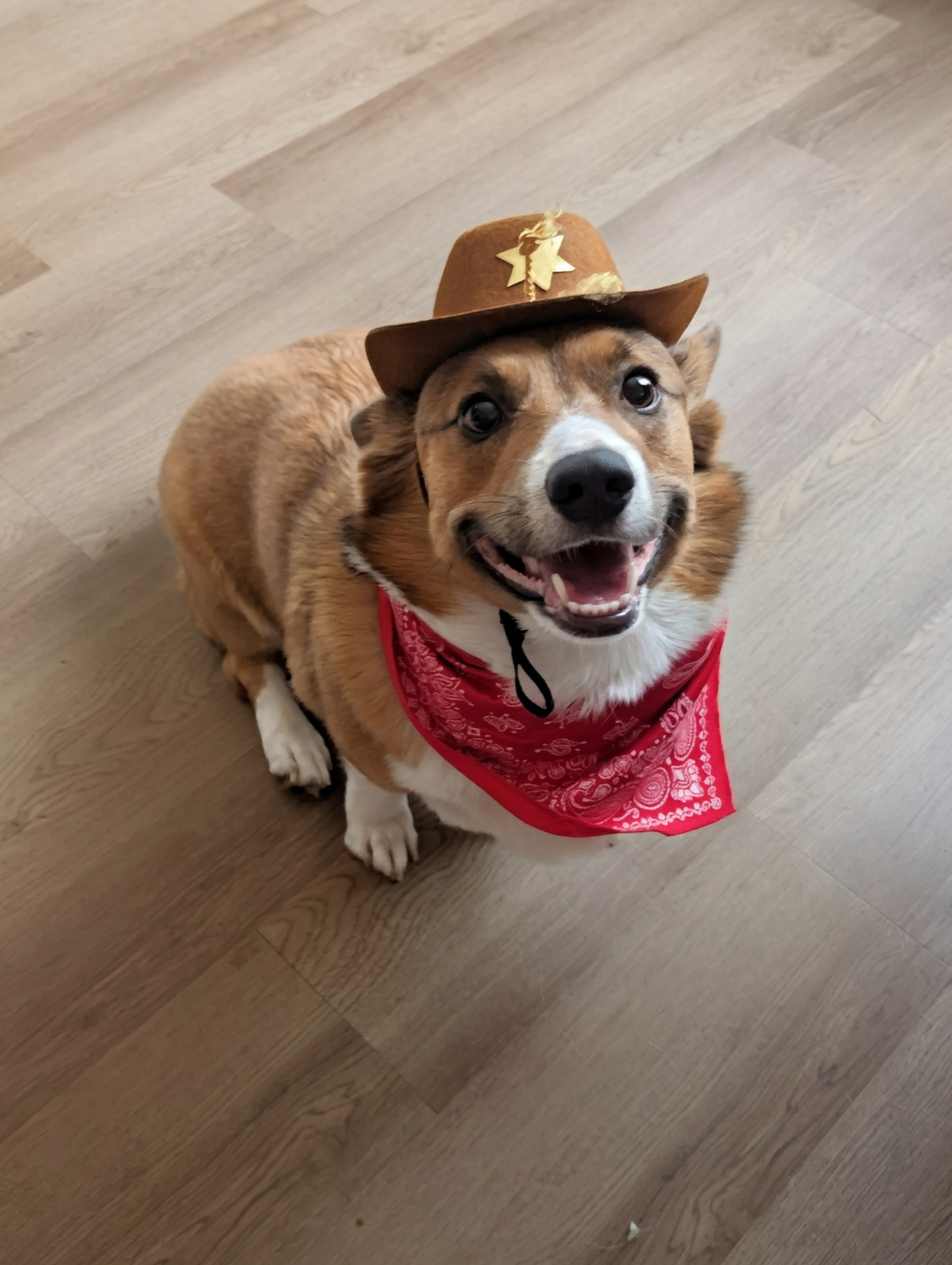 user avatar image for Zoey Herrera