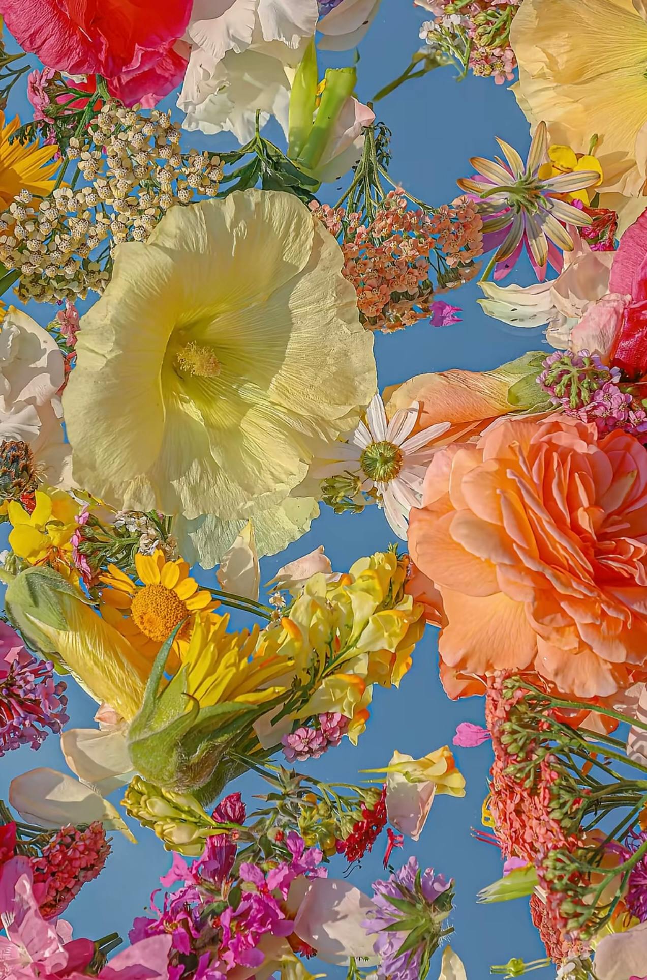 user avatar image for Suzanne