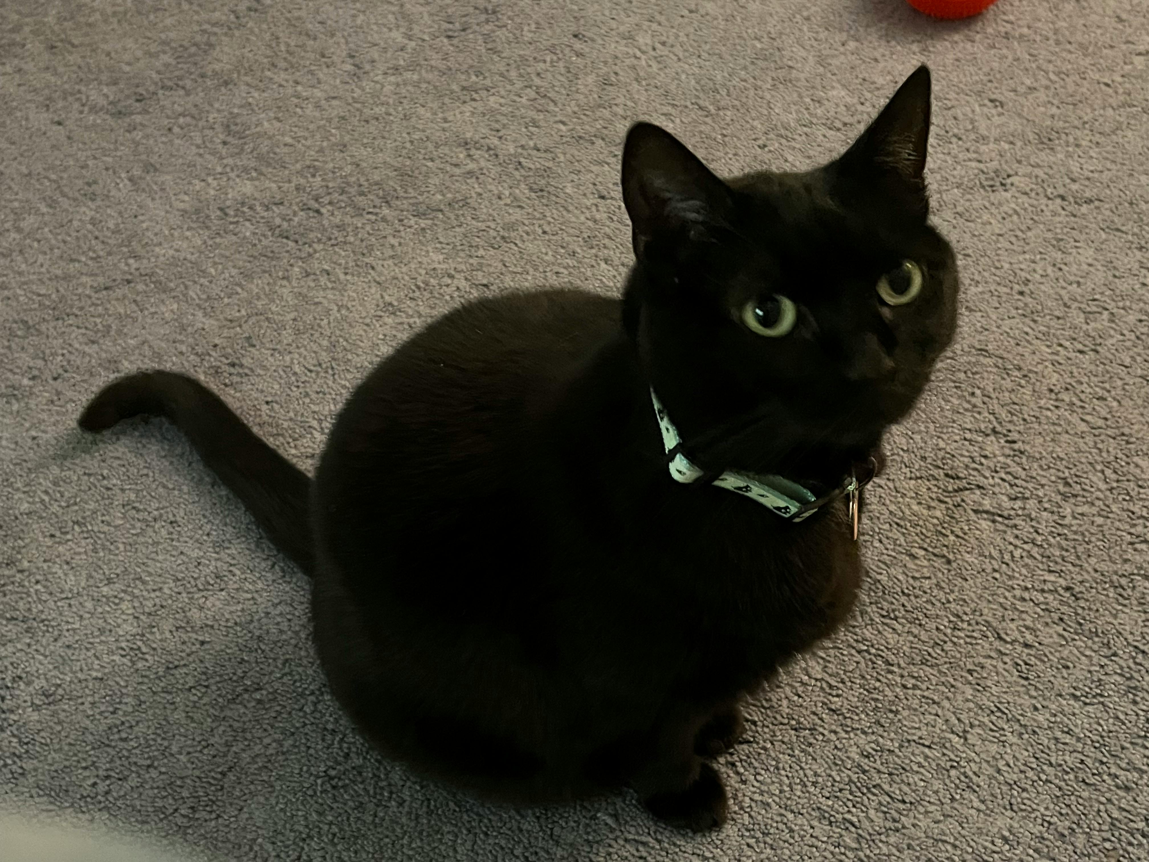 user avatar image for Charles Decker