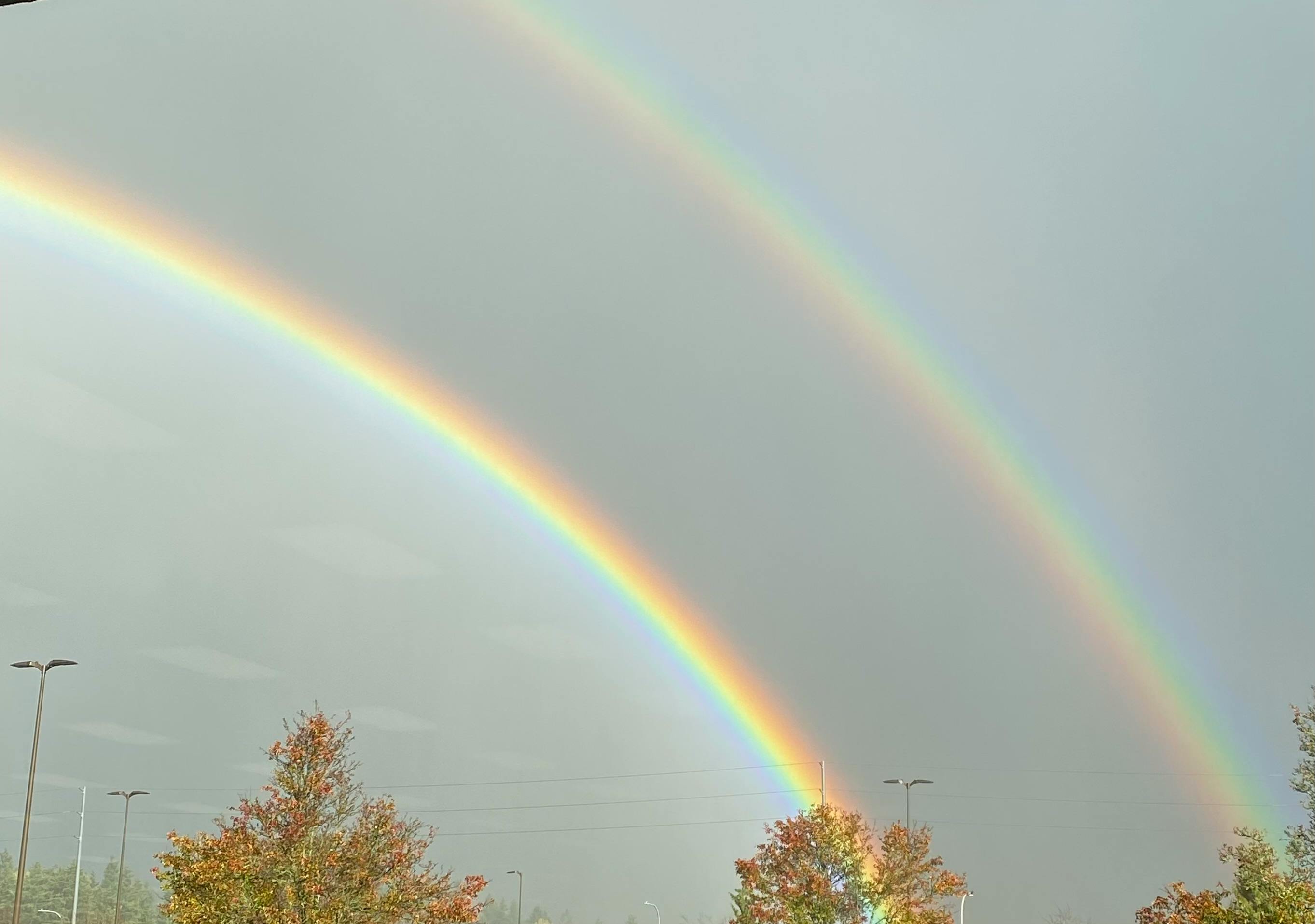 user avatar image for Tisha Carr