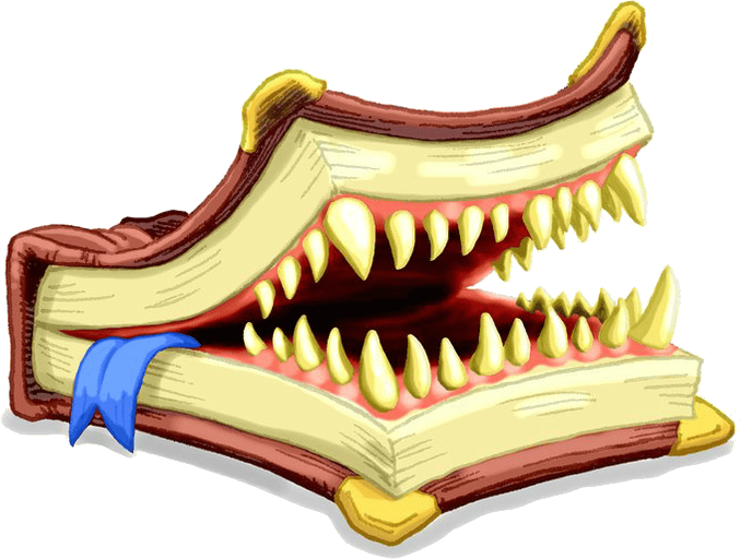 user avatar image for Bruce