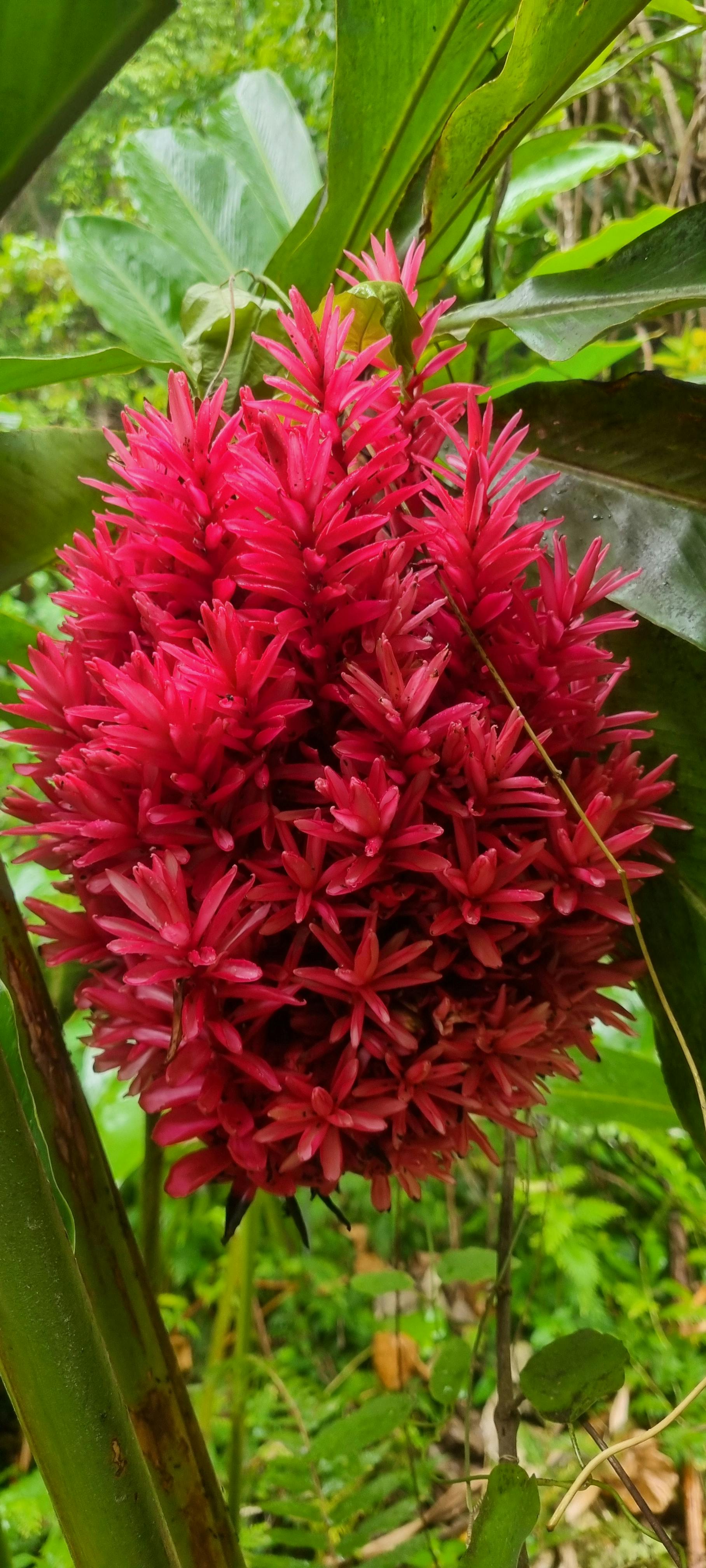 user avatar image for Sarah