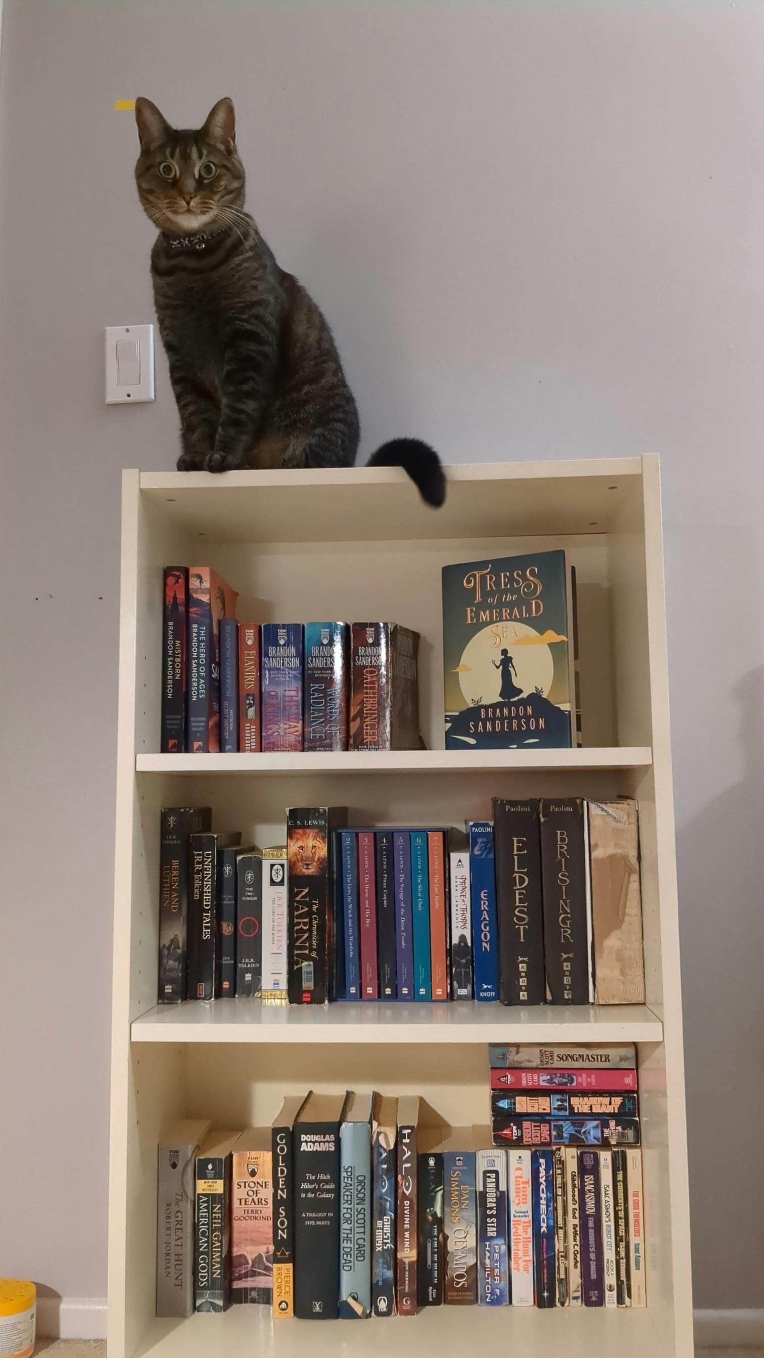 user avatar image for Gabby 