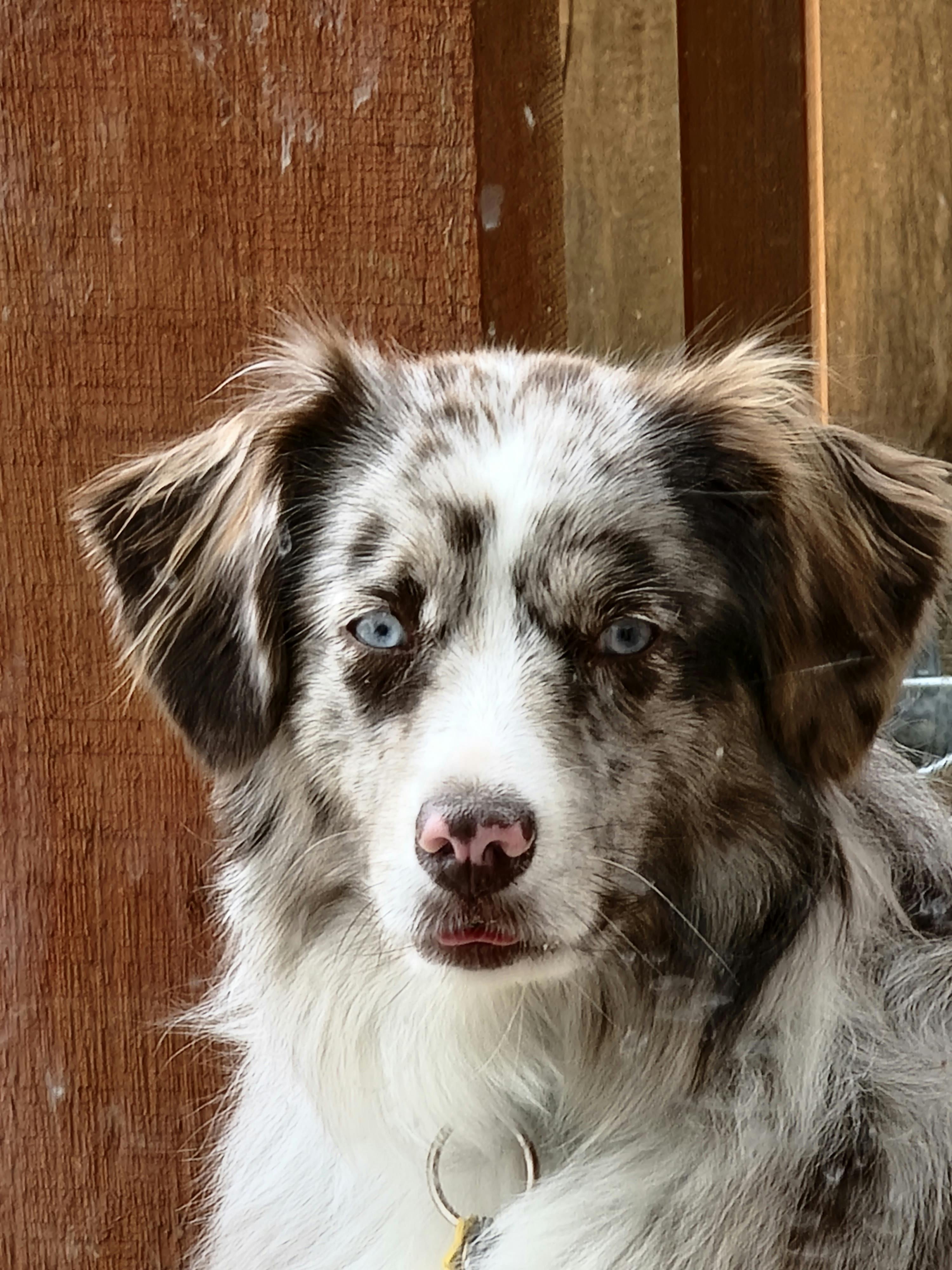 user avatar image for Lee