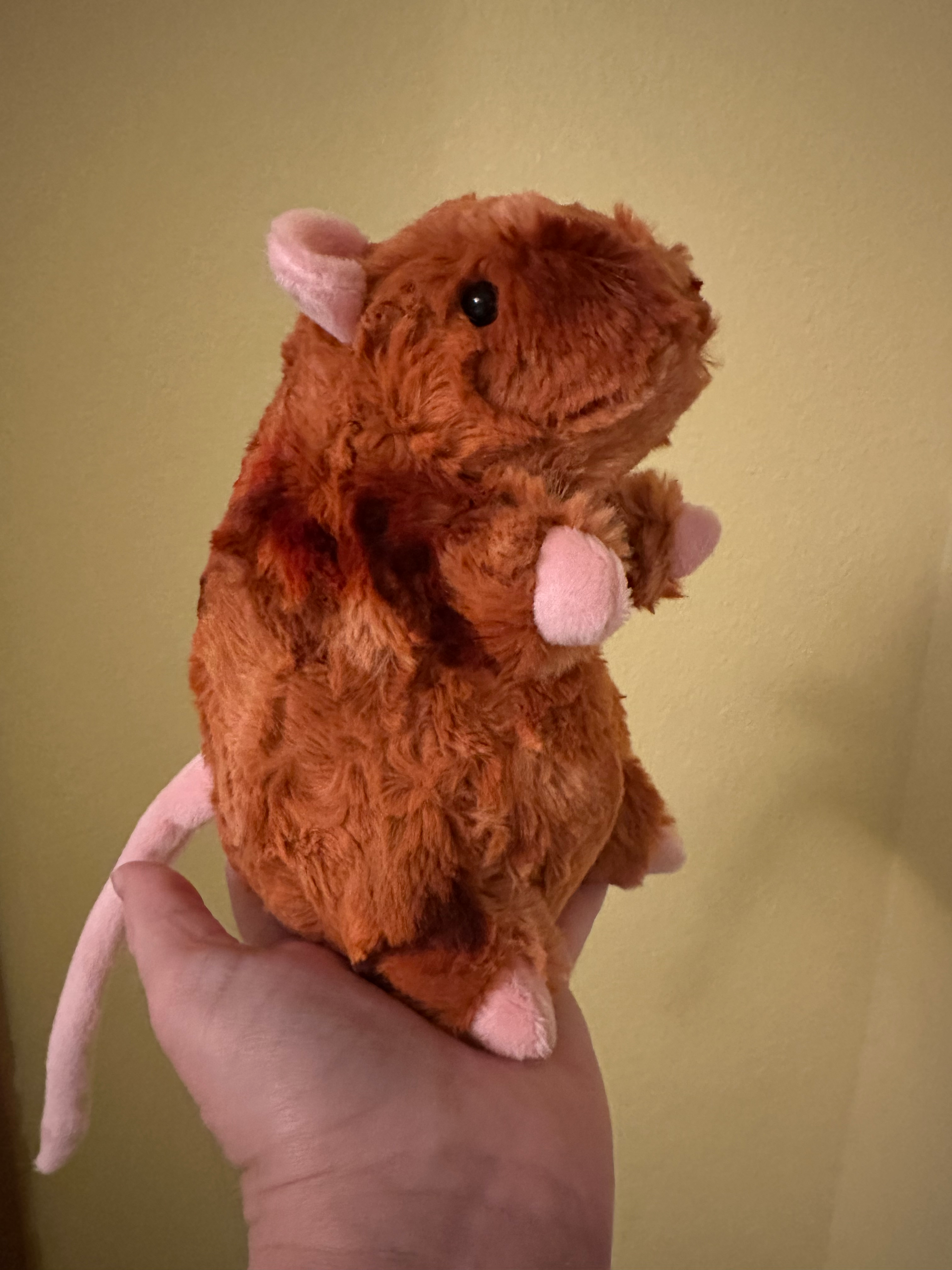 user avatar image for Jenifer Wheeler