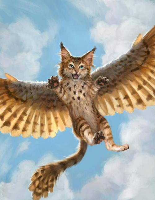 user avatar image for Drakeinnight