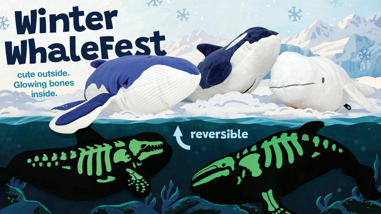 Womple's Winter WhaleFest: Glowing Ocean Animal Plushies!