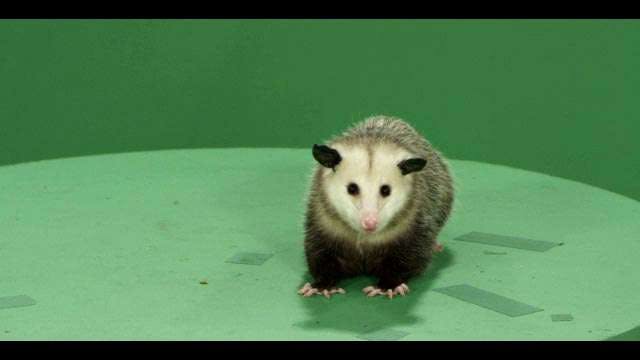 user avatar image for Pandorah Bunyan