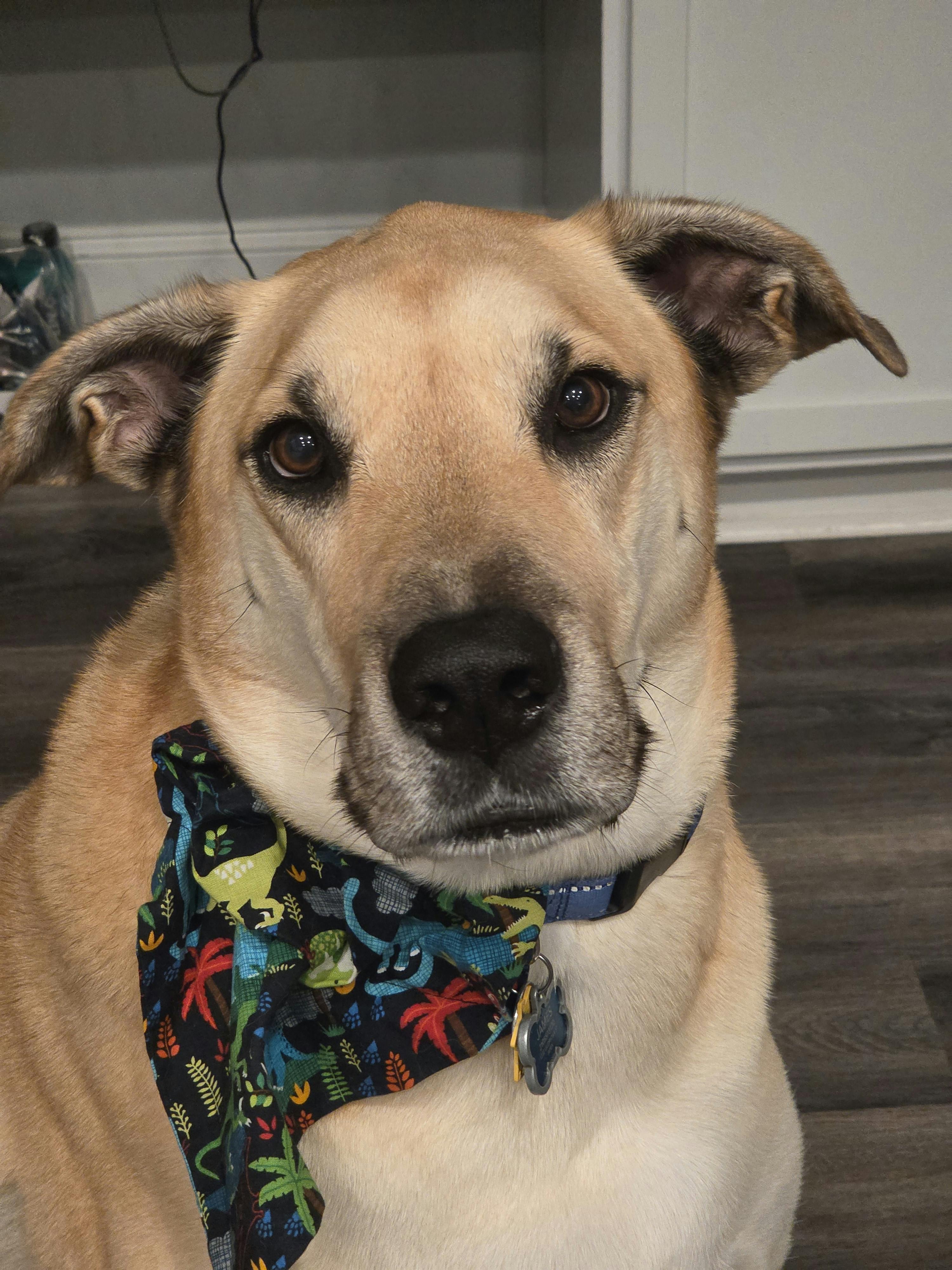 user avatar image for Kim Wynne