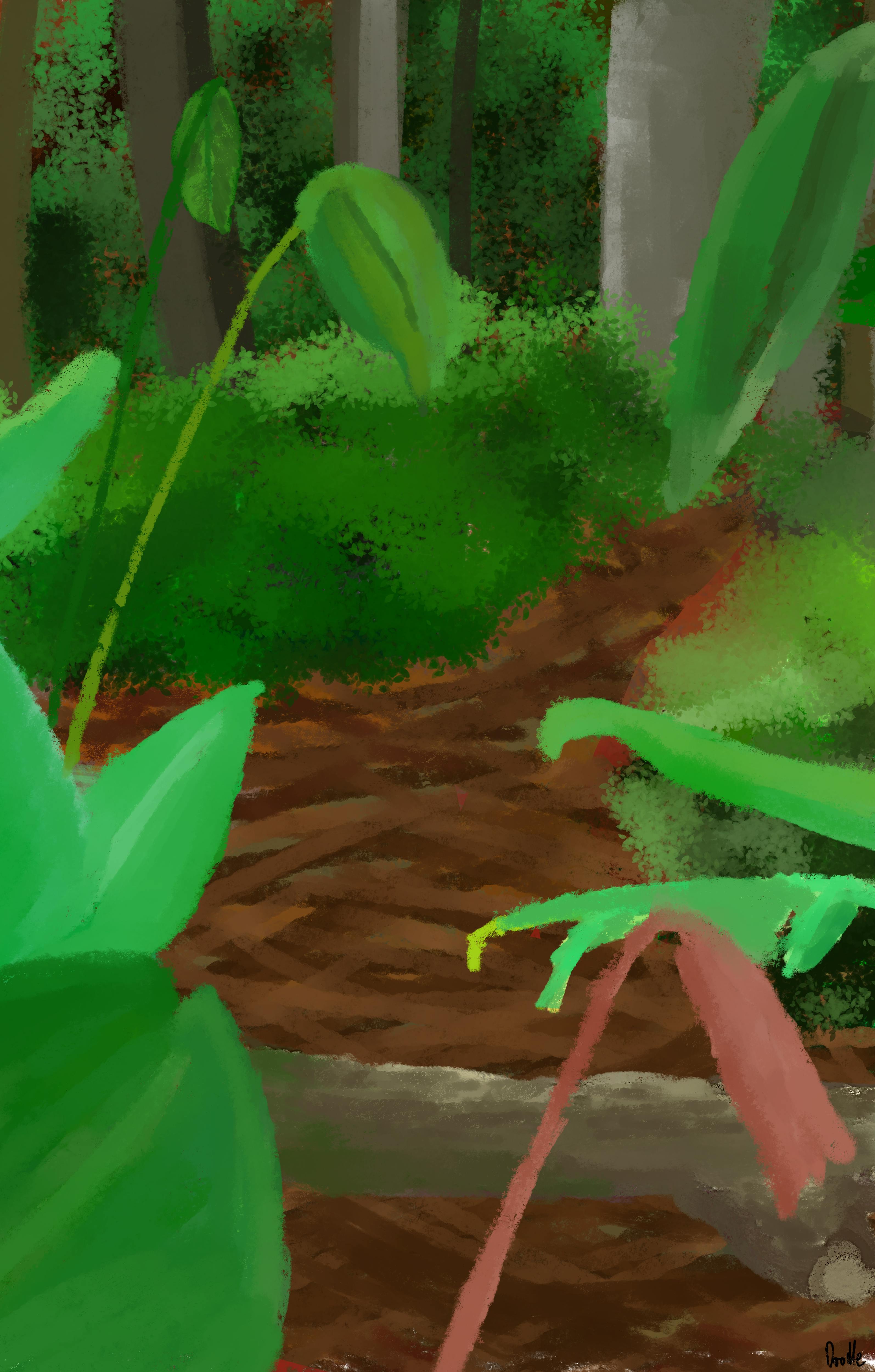 POSTCARD Ancient Rainforest