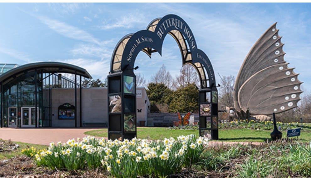 Donate to Butterfly Sanctuaries in the Midwest!