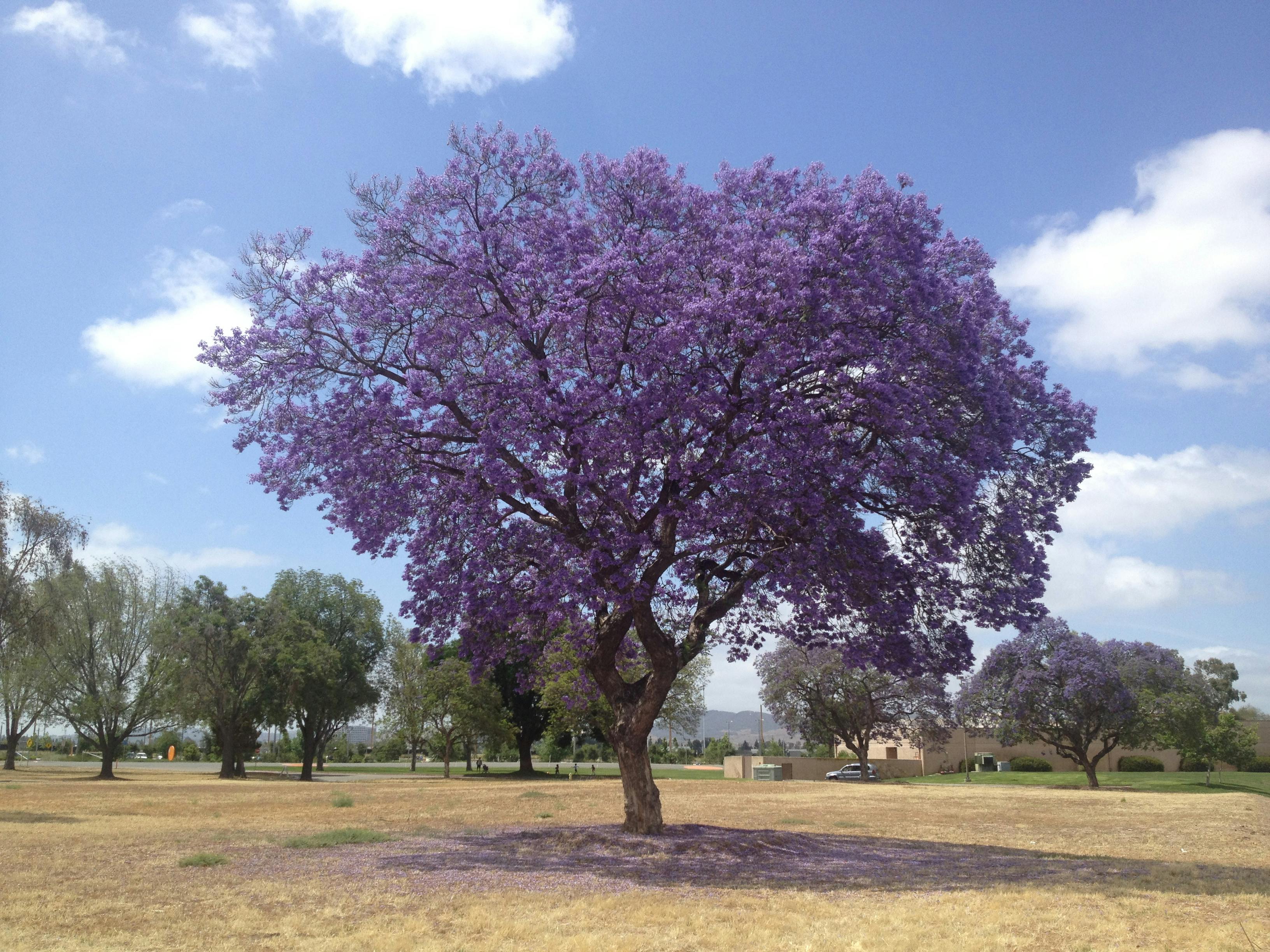 user avatar image for ColtonJames