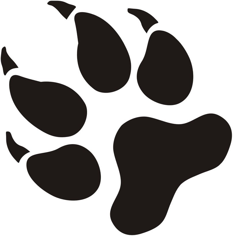 user avatar image for Mike Peacock