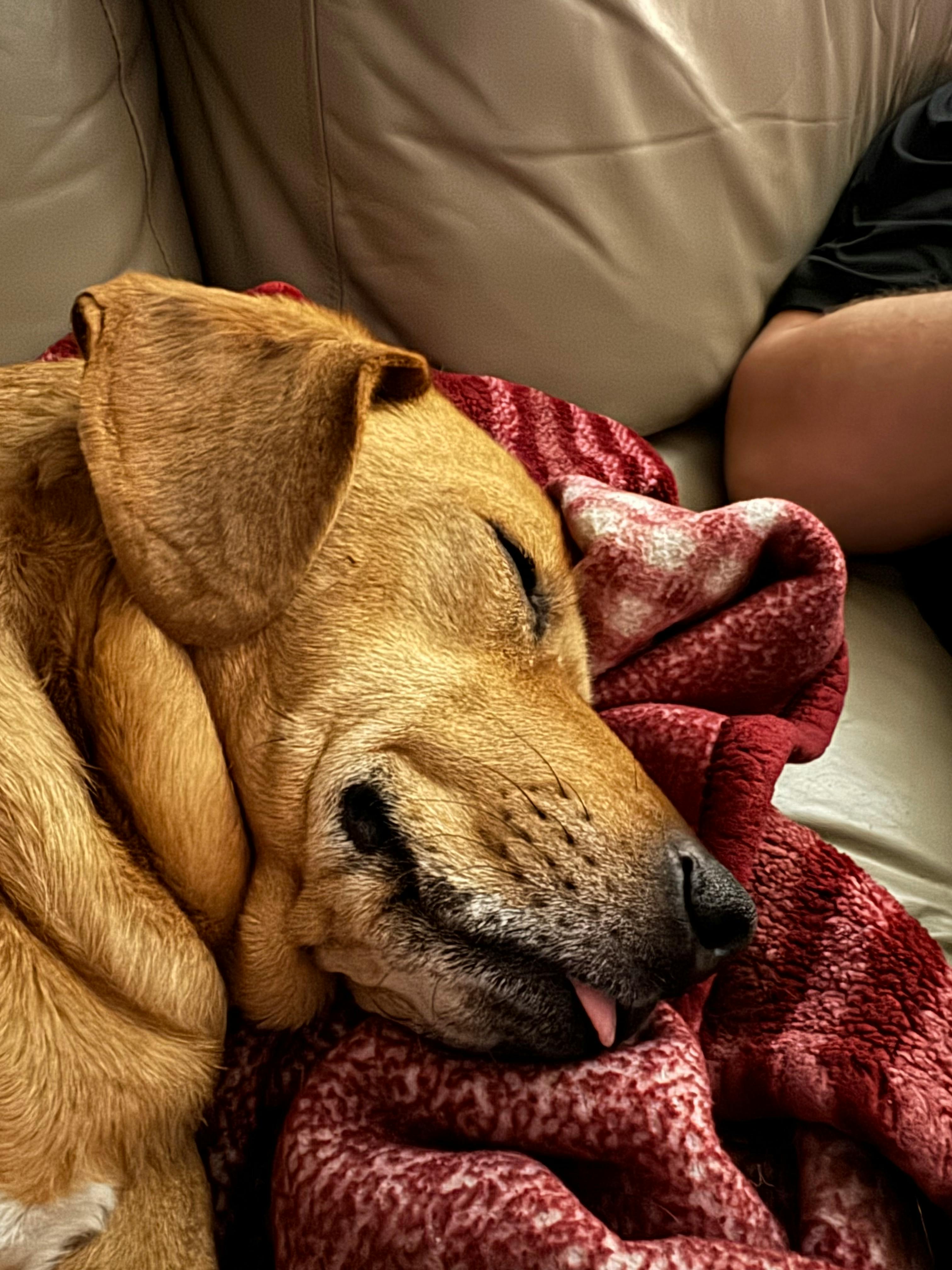 user avatar image for Fathertime