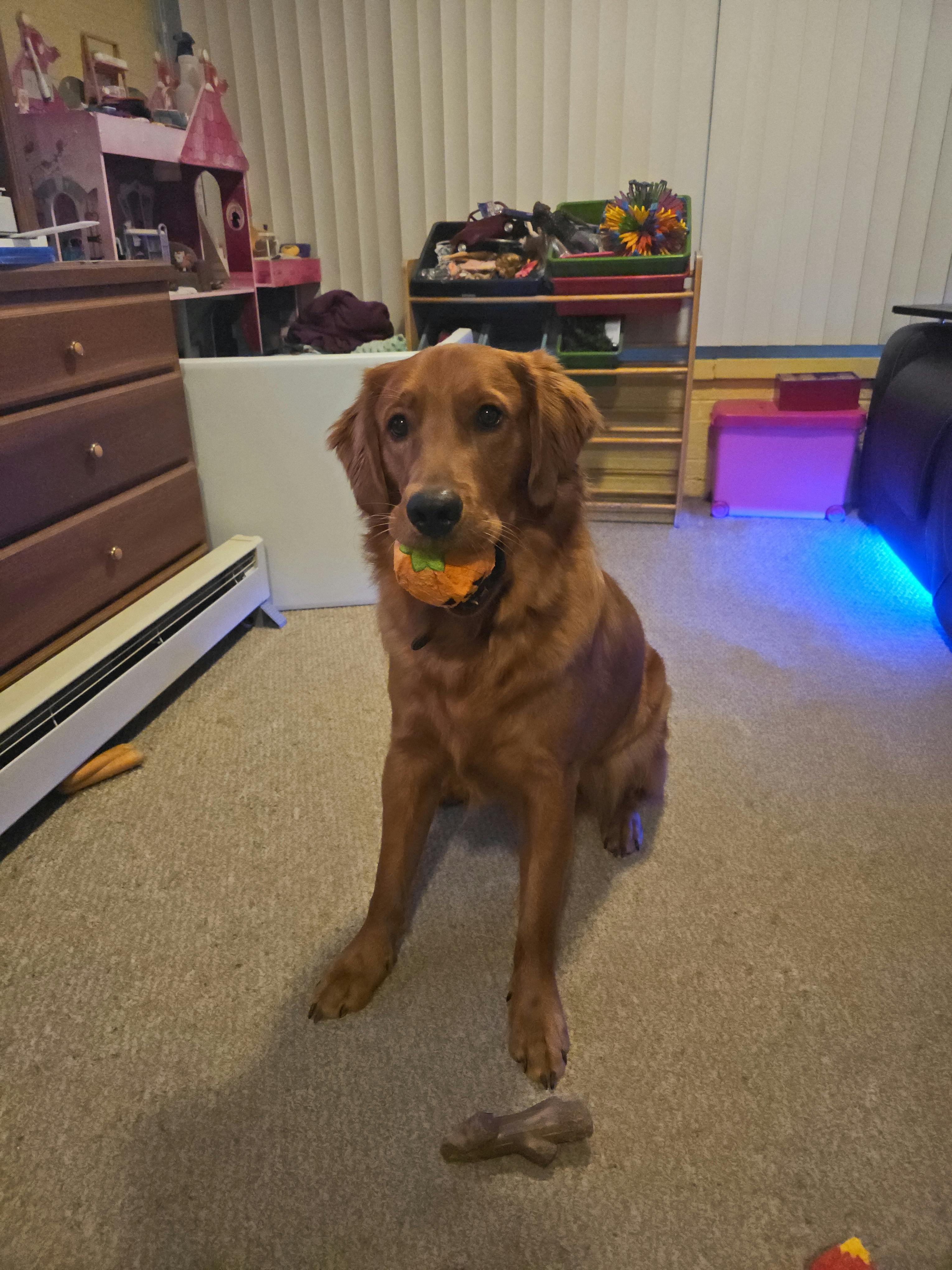 user avatar image for Jon Meyer