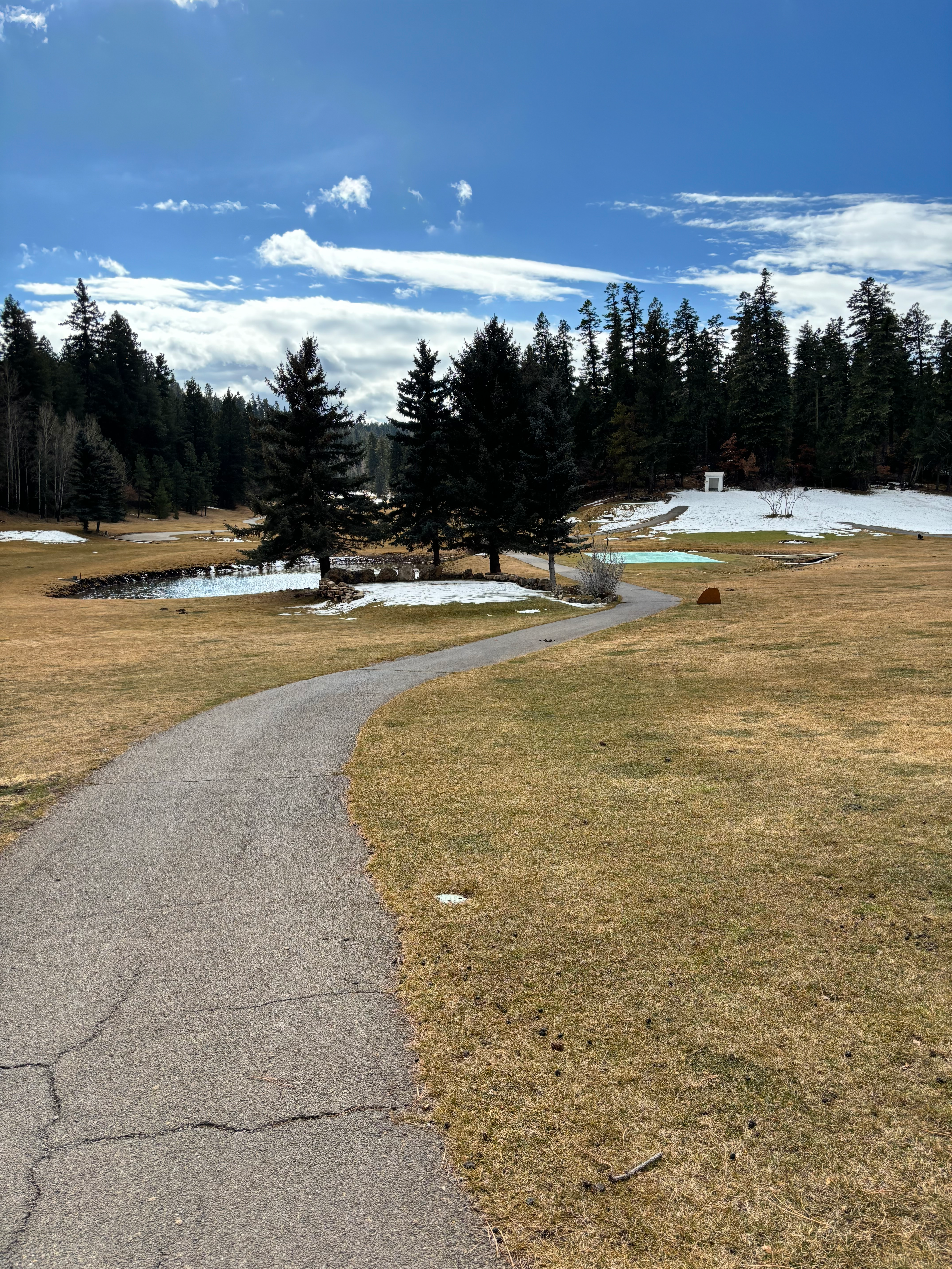 user avatar image for A Levy