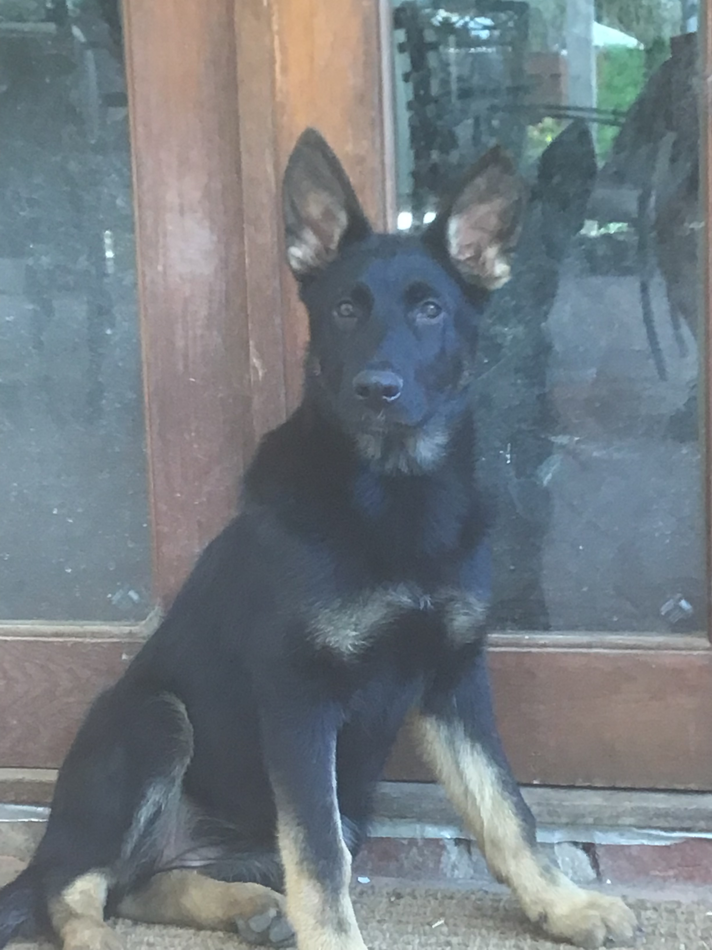 user avatar image for Nyssa