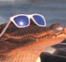 user avatar image for Double