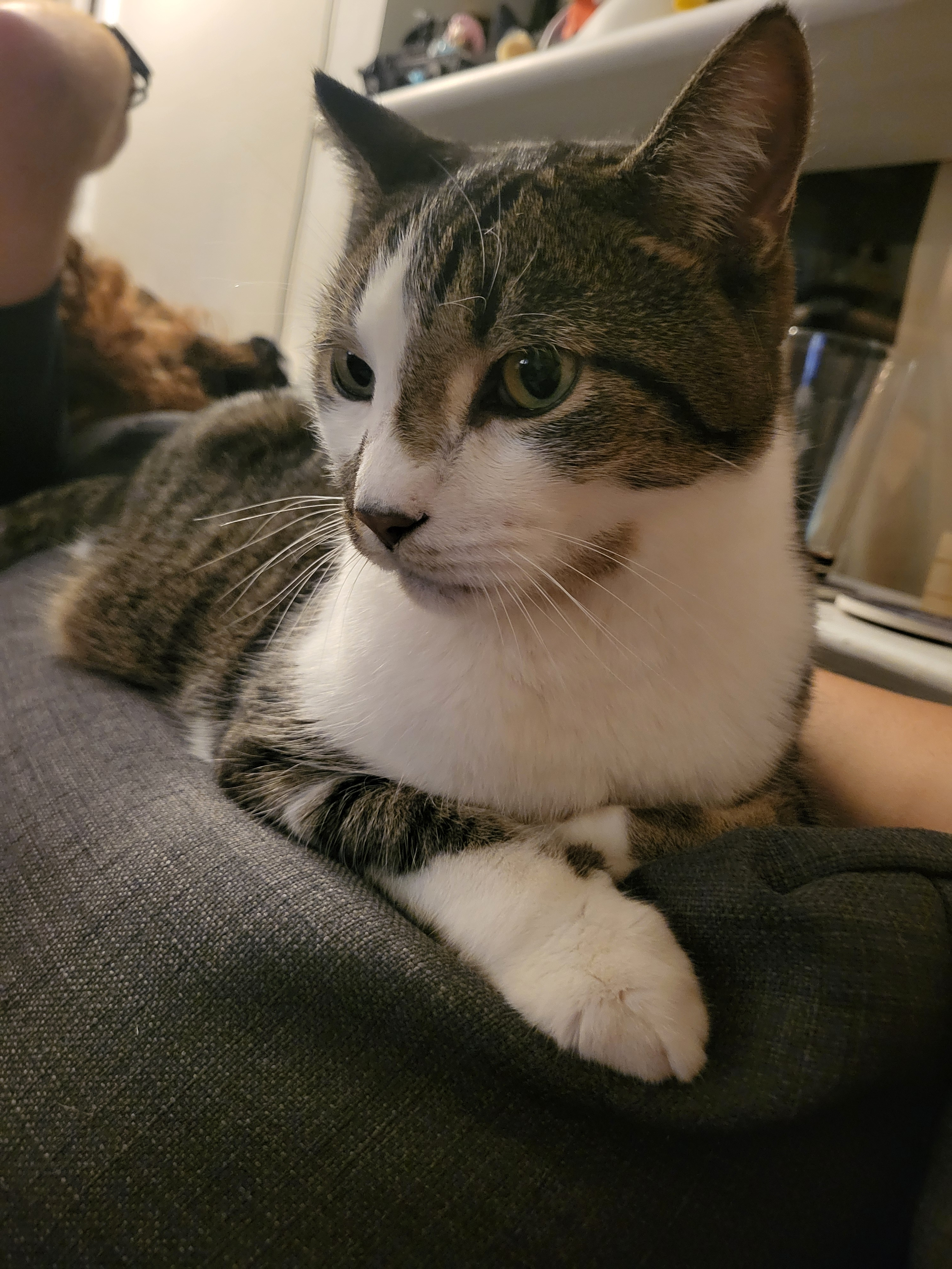 user avatar image for Miciah367