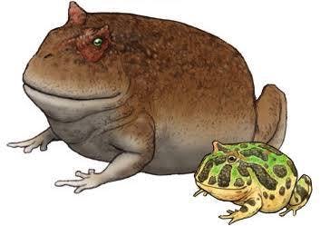 user avatar image for Grim