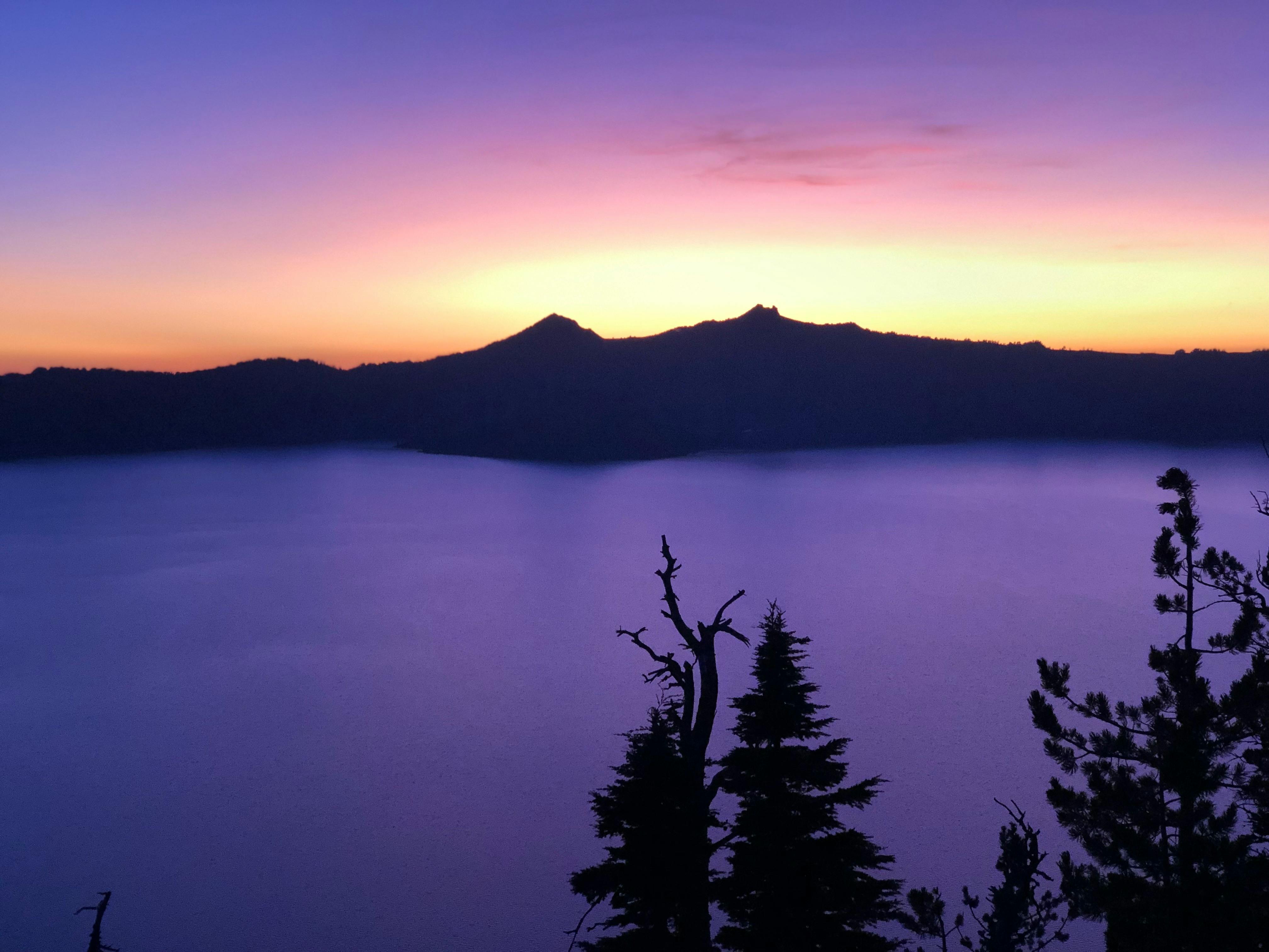 user avatar image for Katie