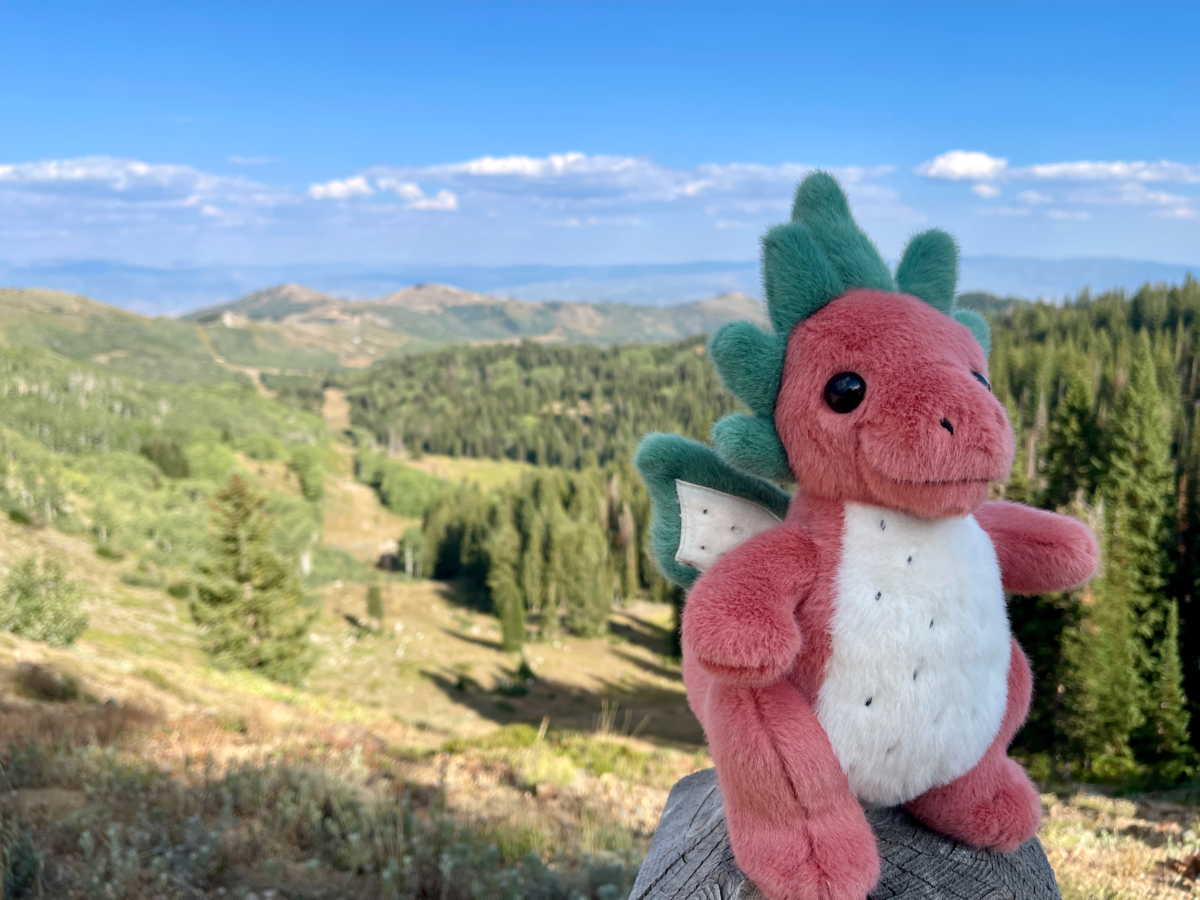 Dragon Fruit Dragon Plush