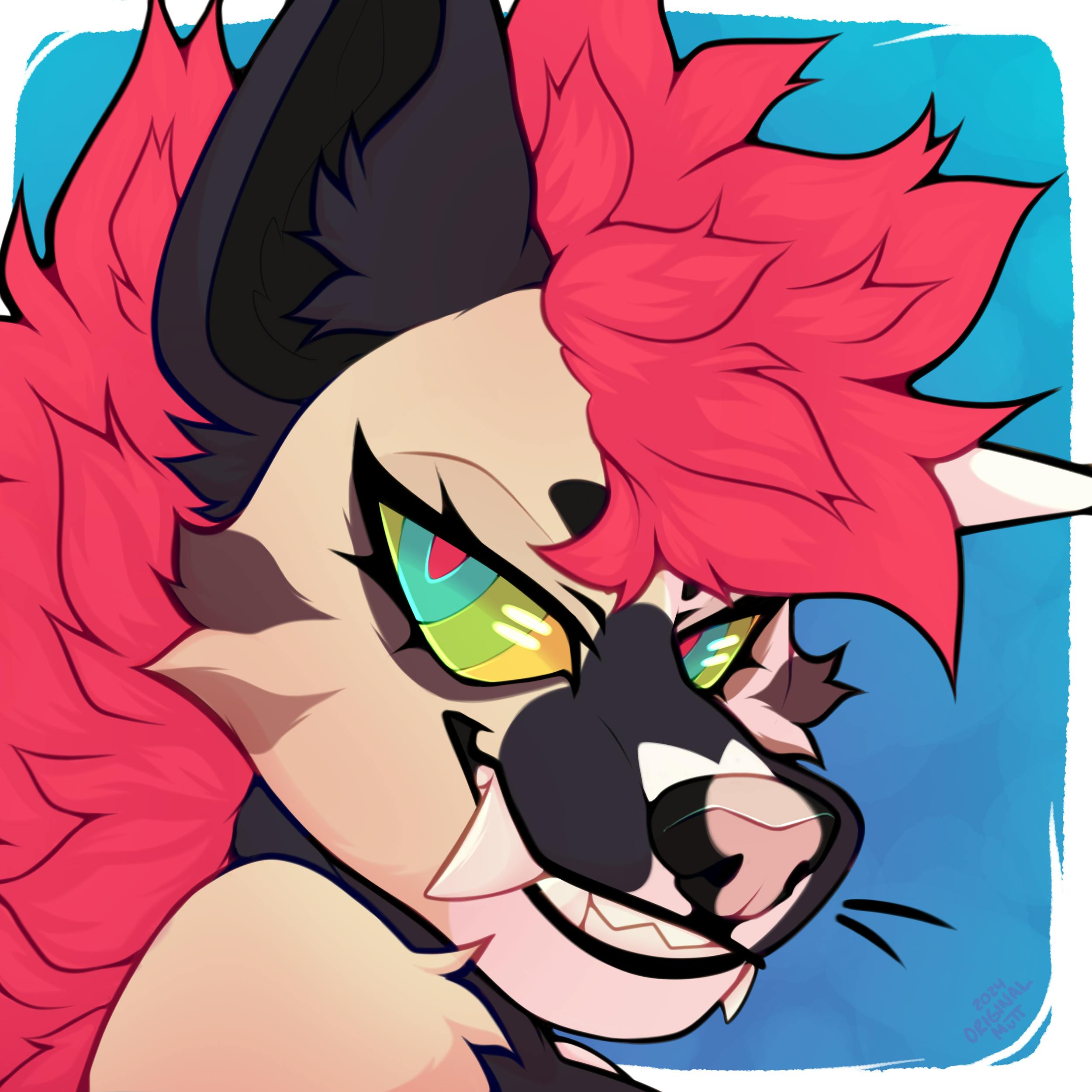 user avatar image for Ronnie