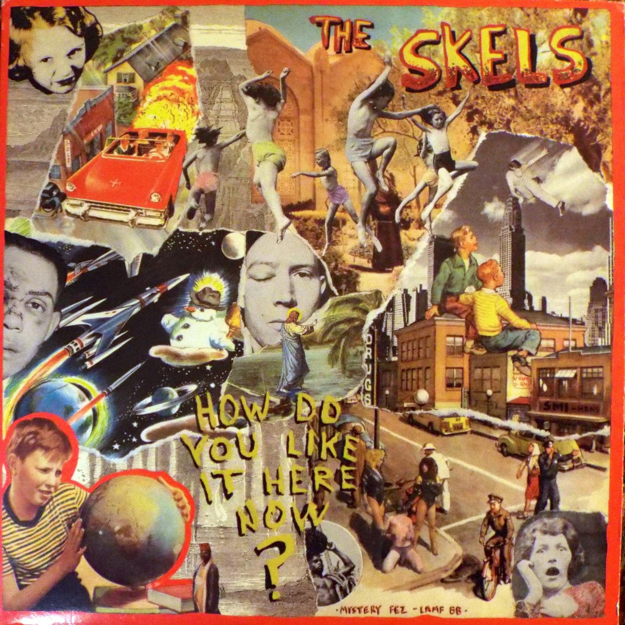 user avatar image for Ian Donahoe