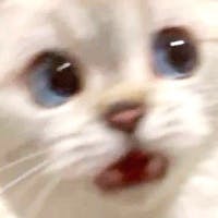 user avatar image for Abigail