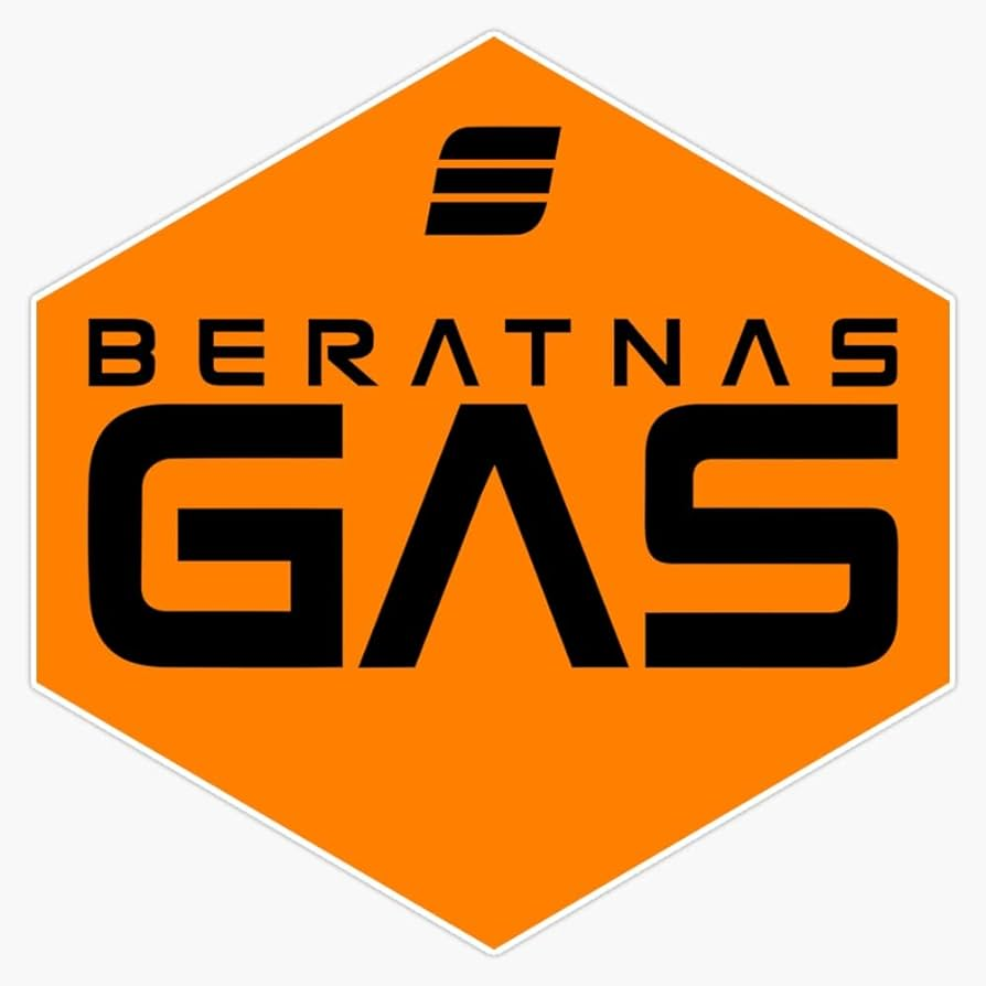 user avatar image for Synirr