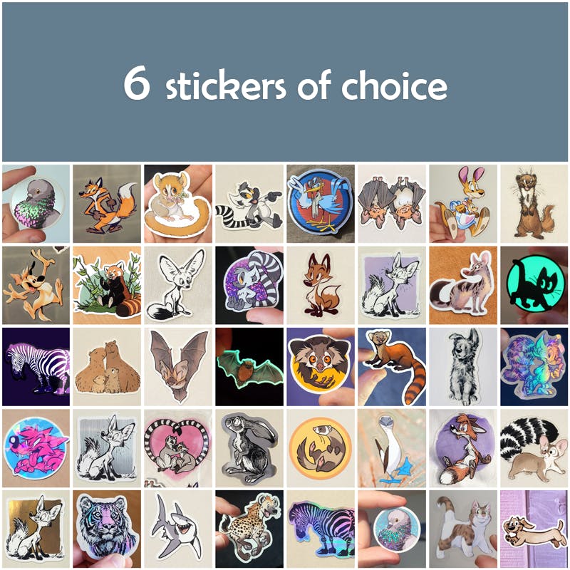 6 stickers of choice