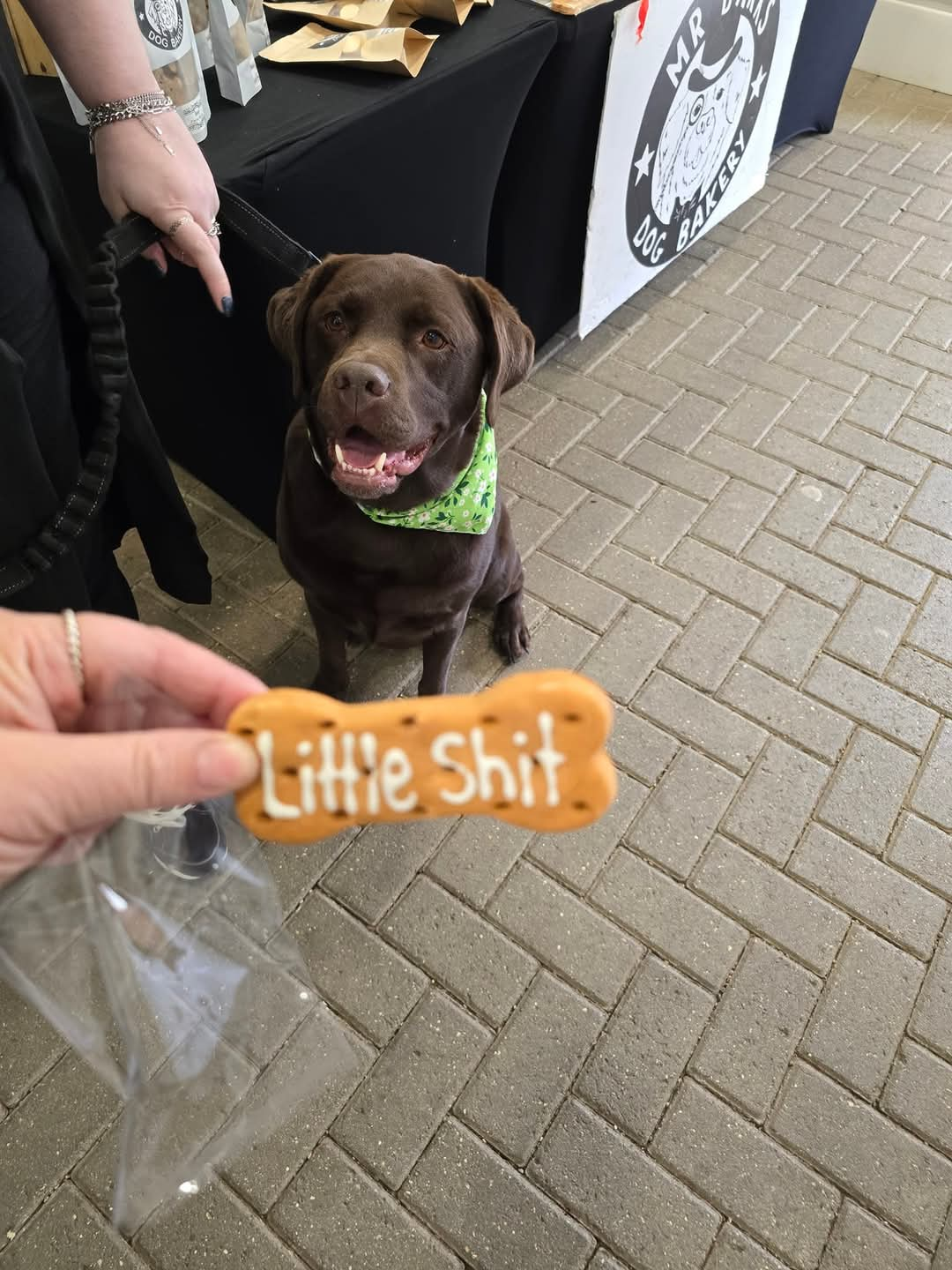 user avatar image for Stuart