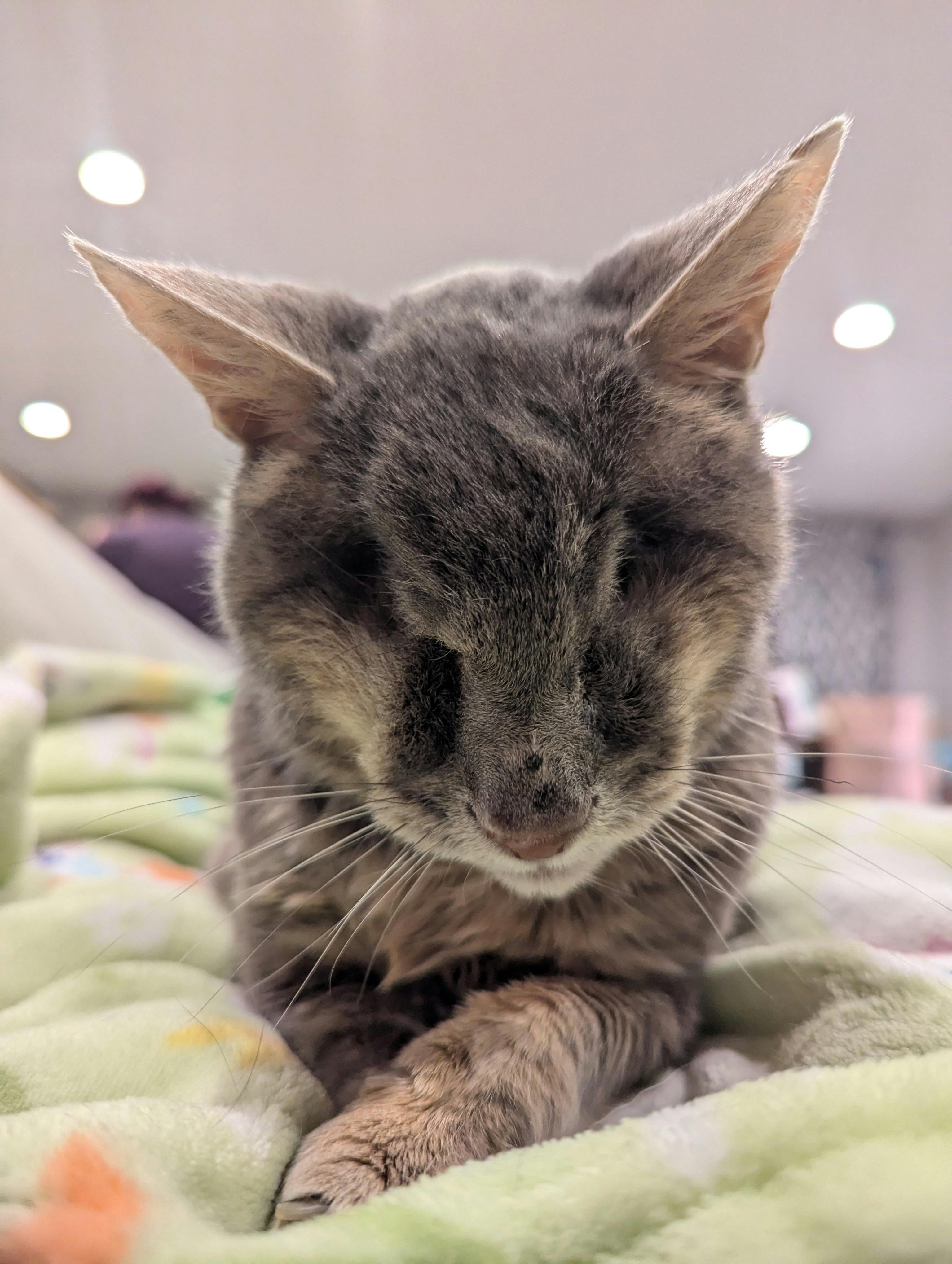 user avatar image for Aspen Clark