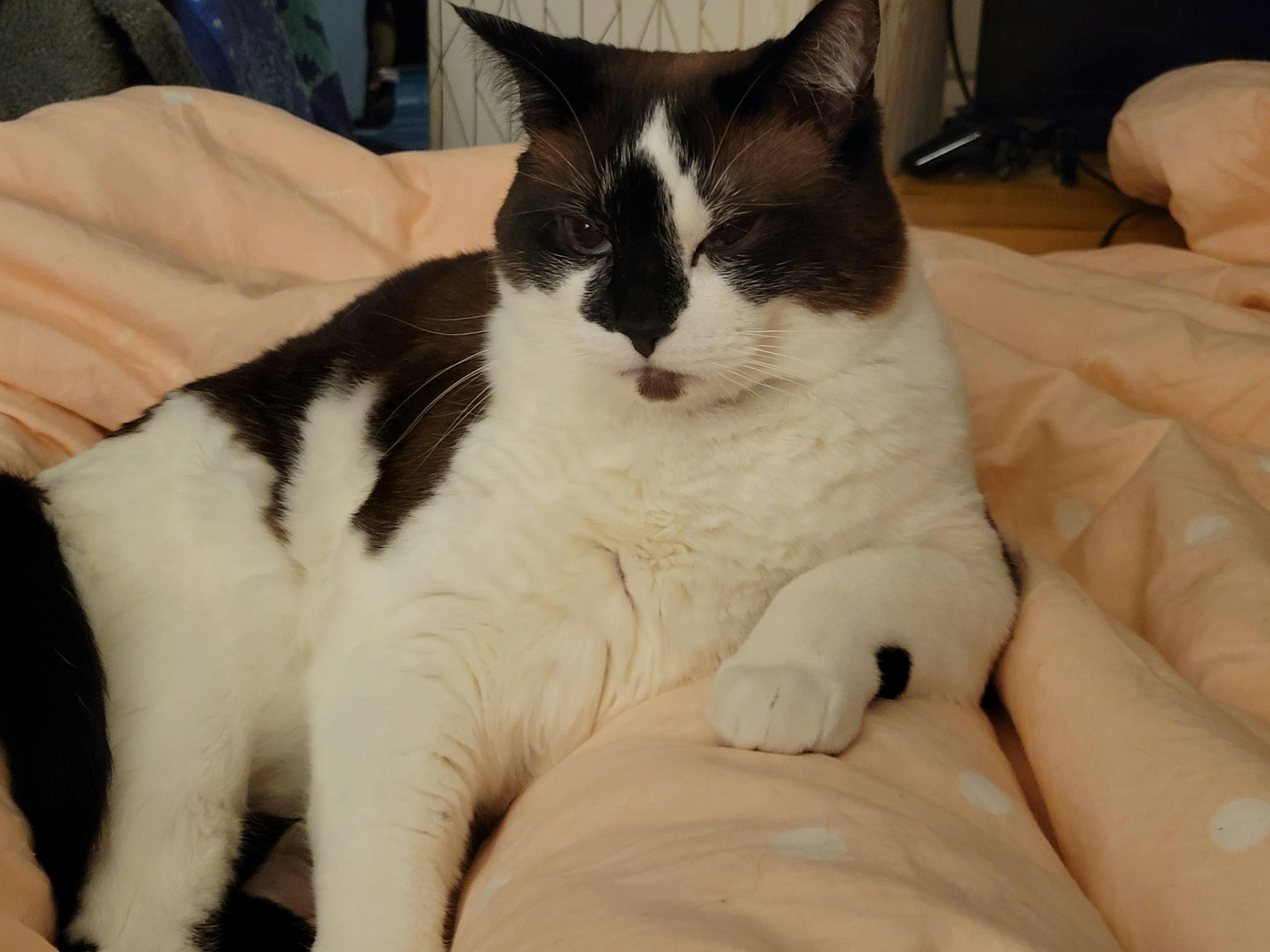 user avatar image for Steph