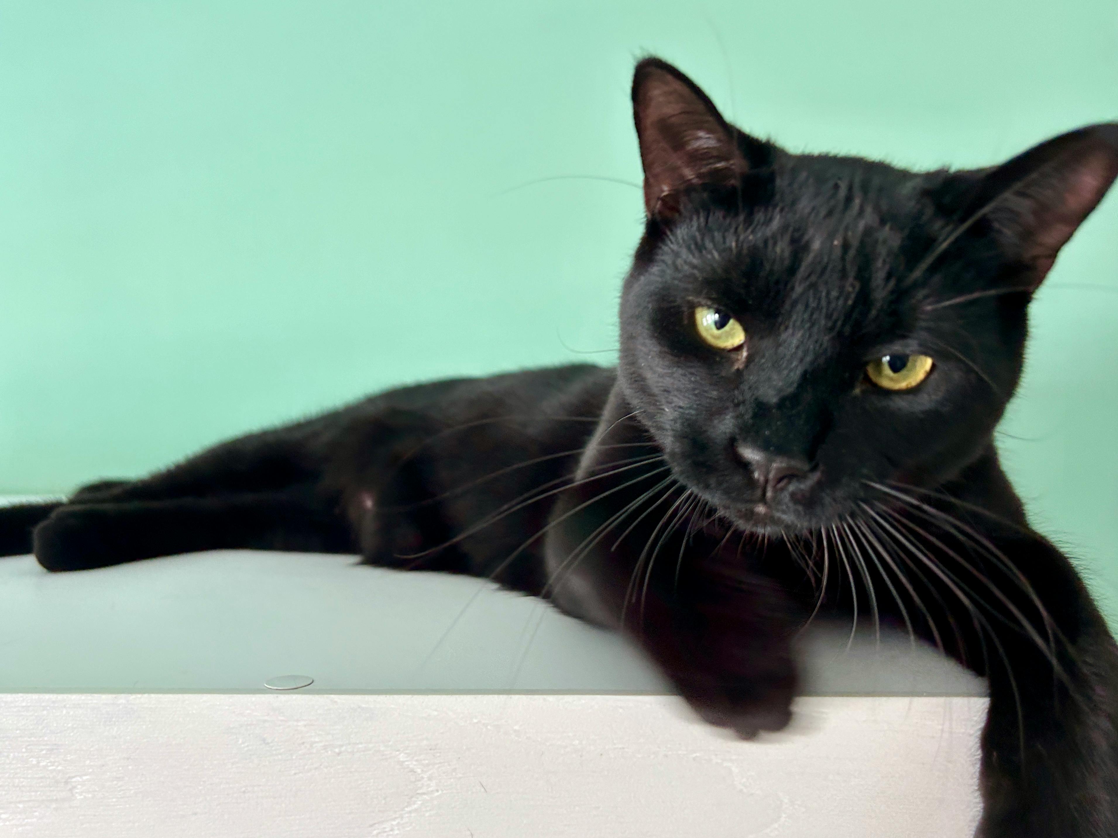 user avatar image for Ren Laine