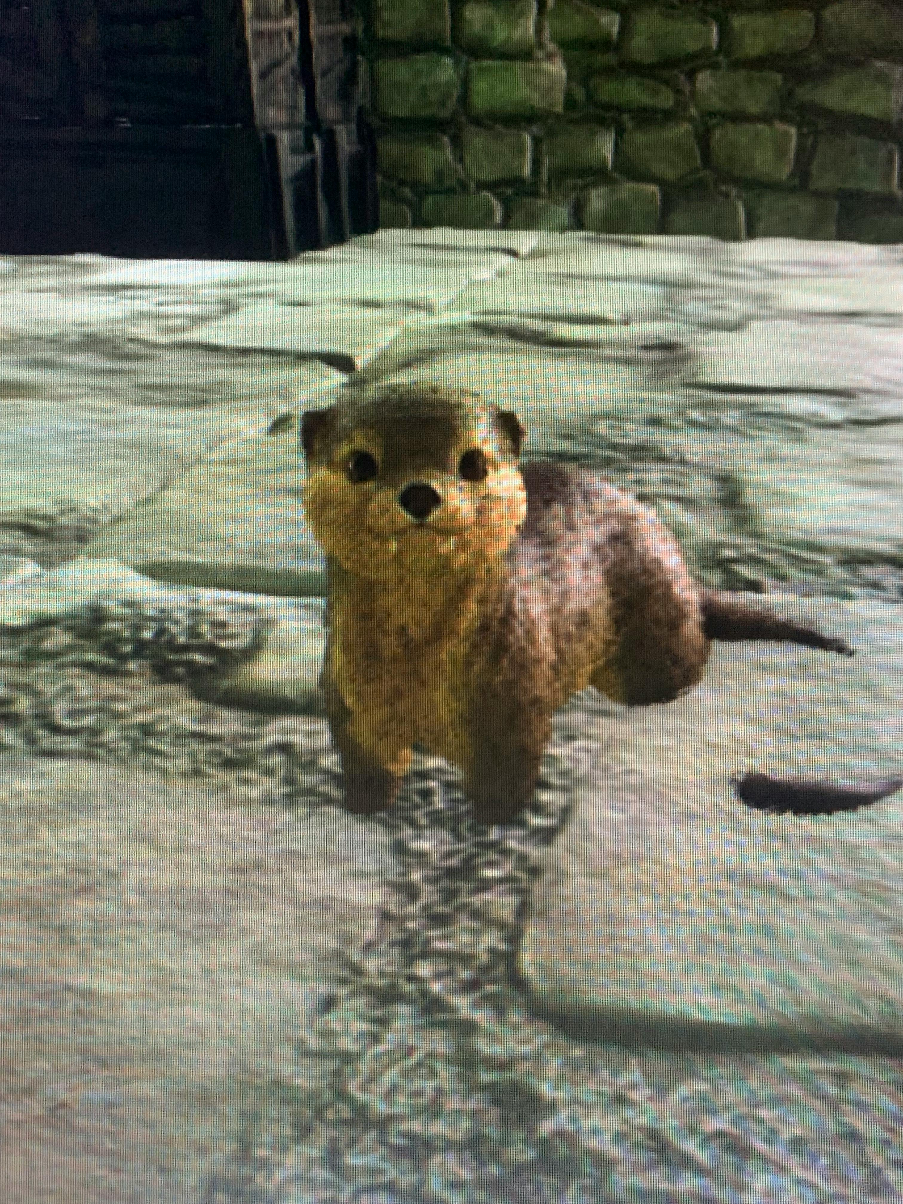 user avatar image for red