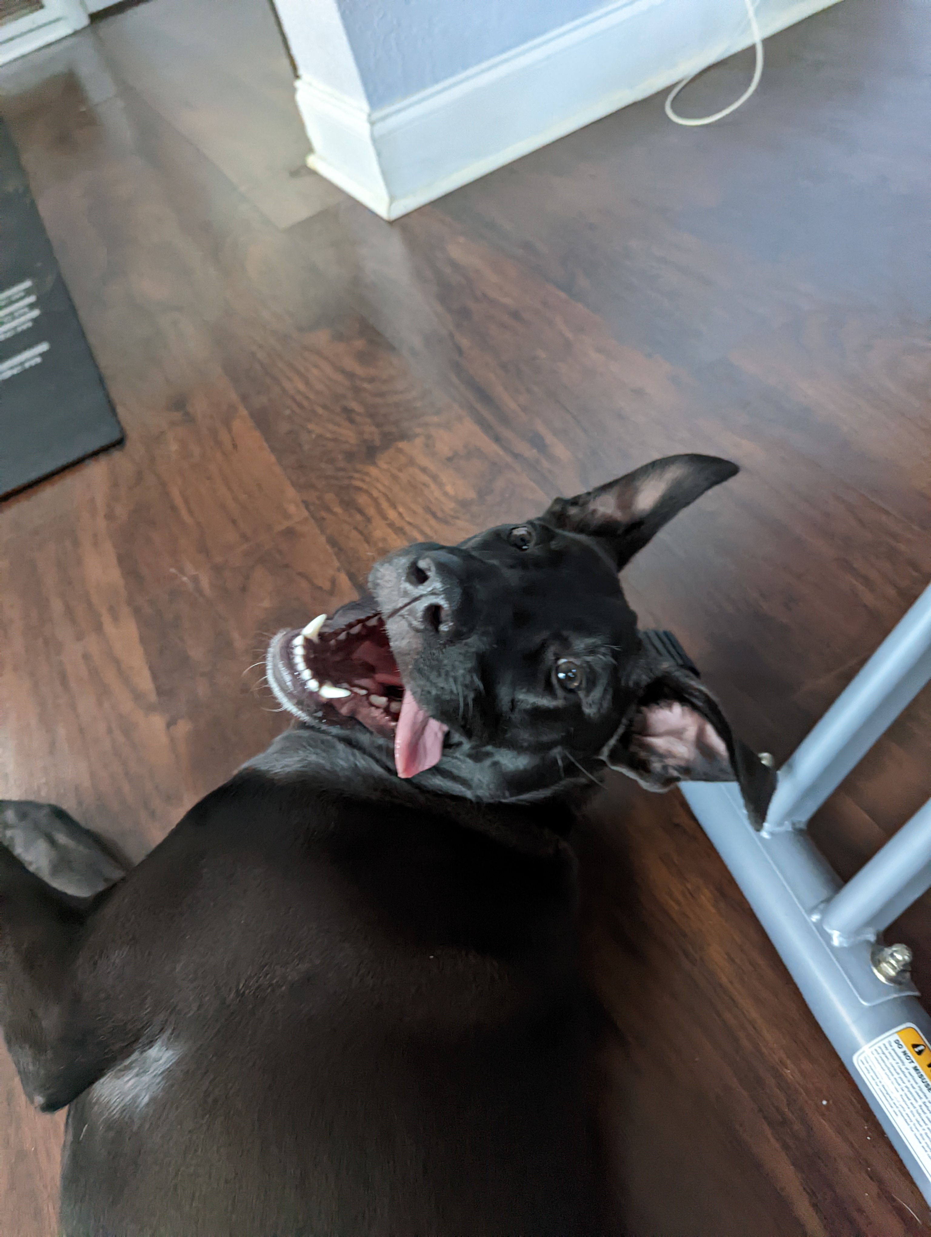 user avatar image for Donald Bishop