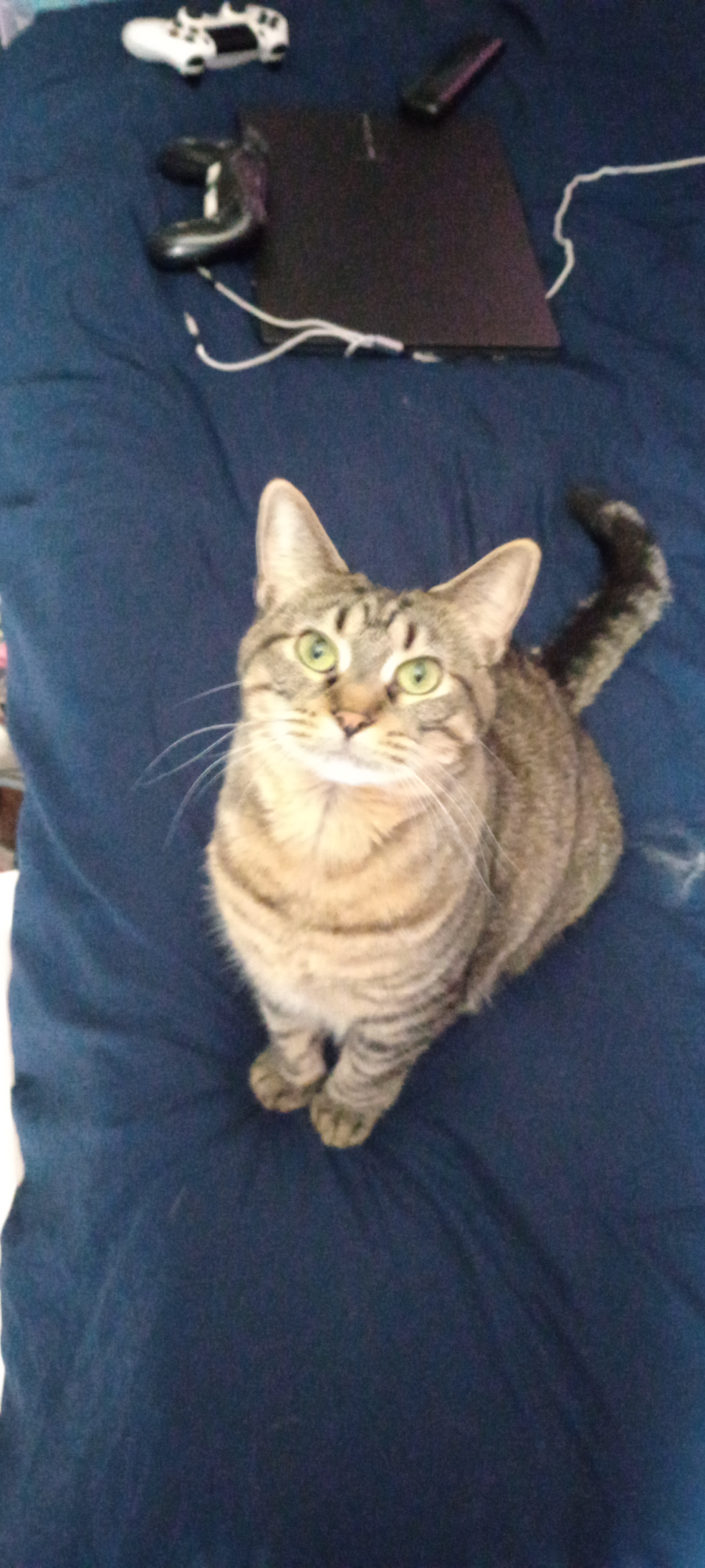 user avatar image for Billygoat894