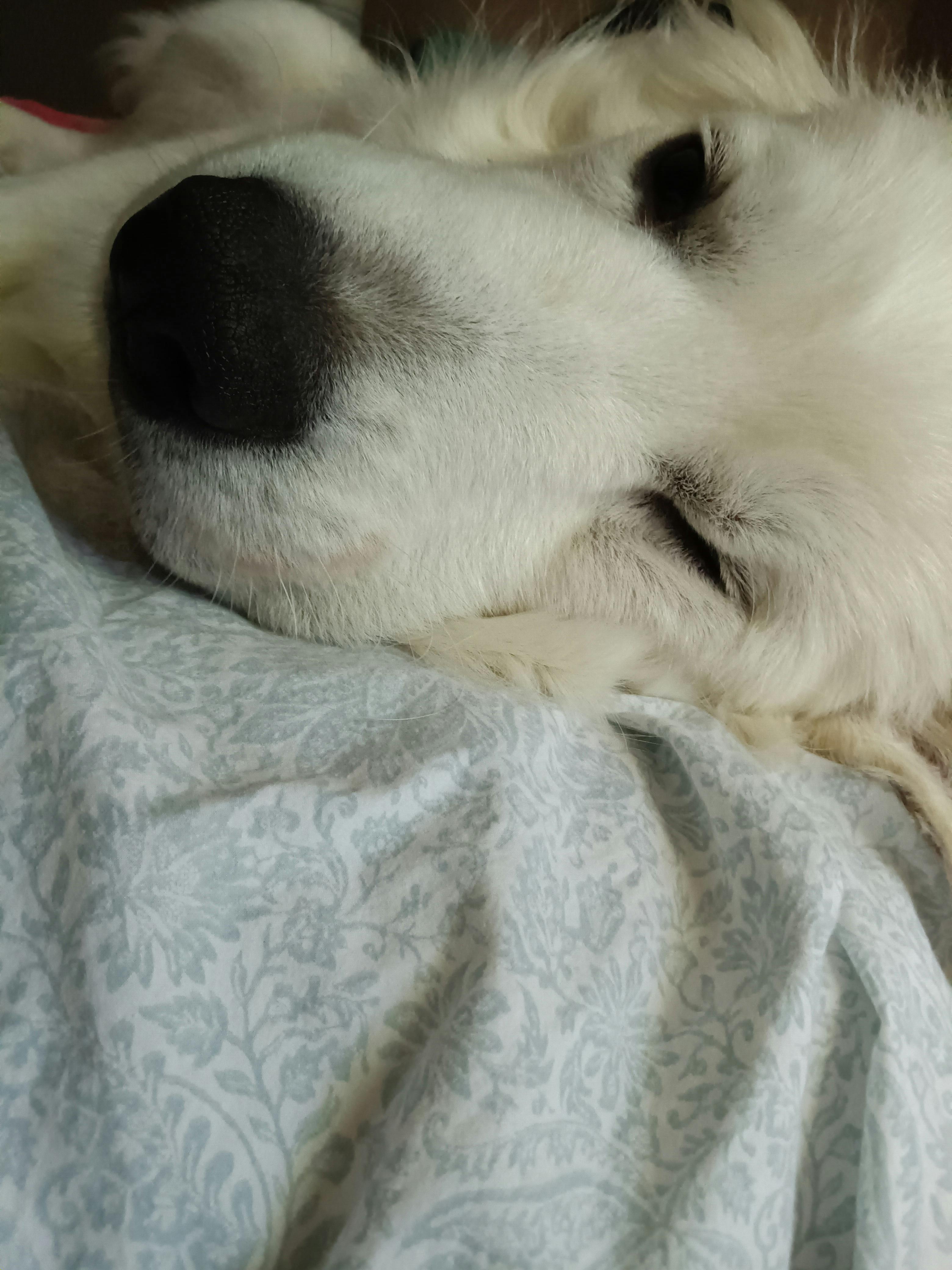 user avatar image for Eli Smith