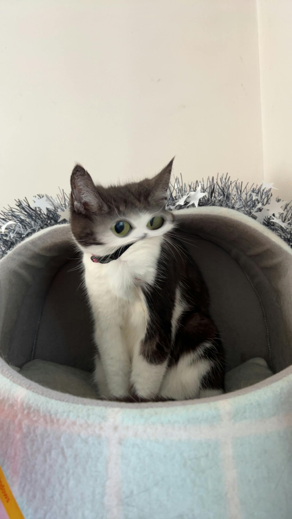 user avatar image for Quartz