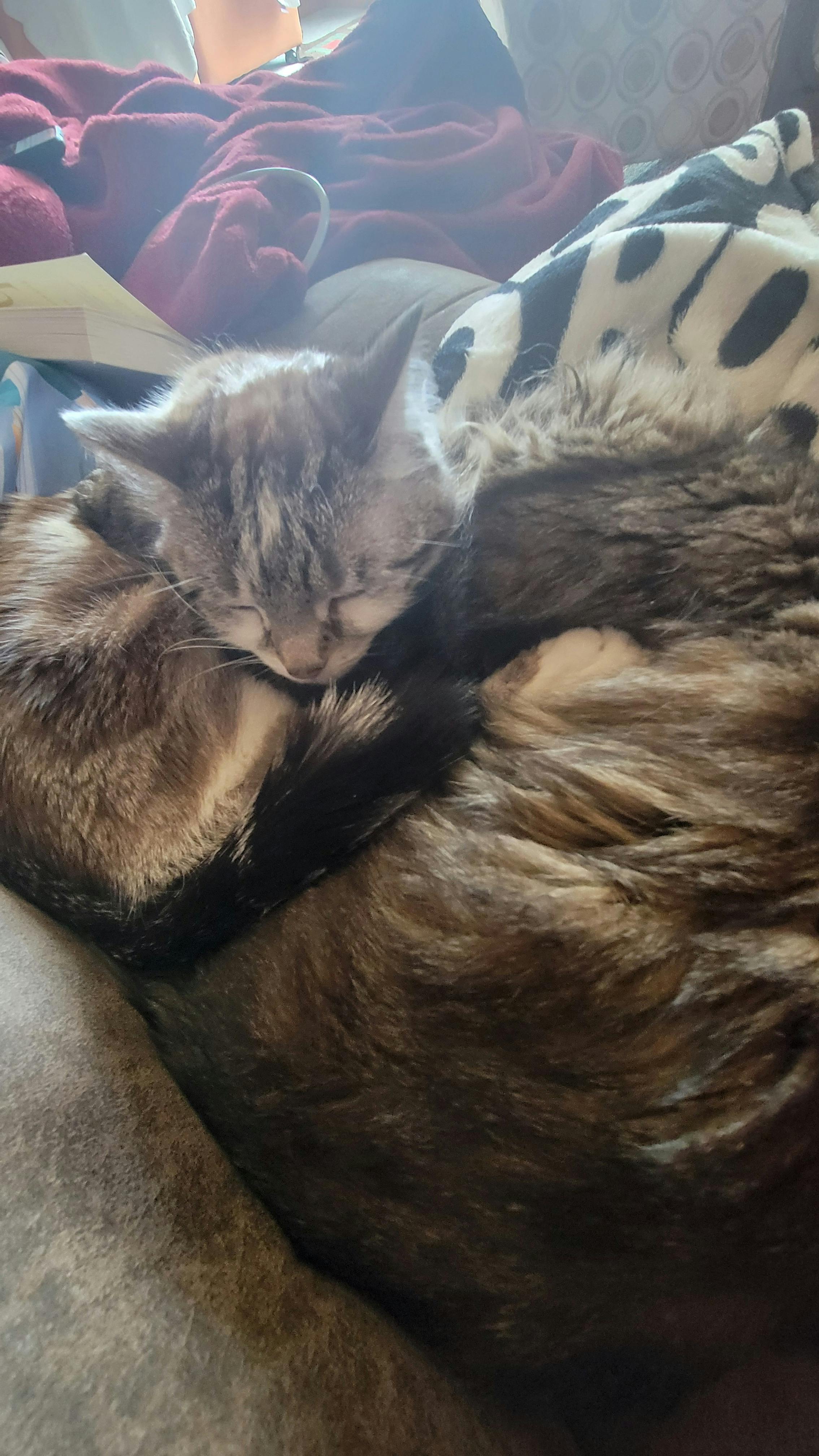 user avatar image for Skylar W