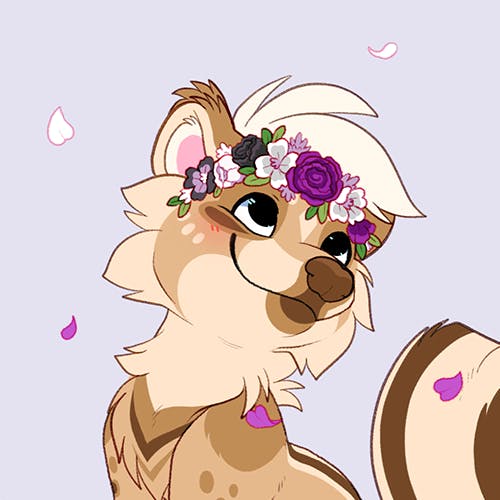 user avatar image for Surdo