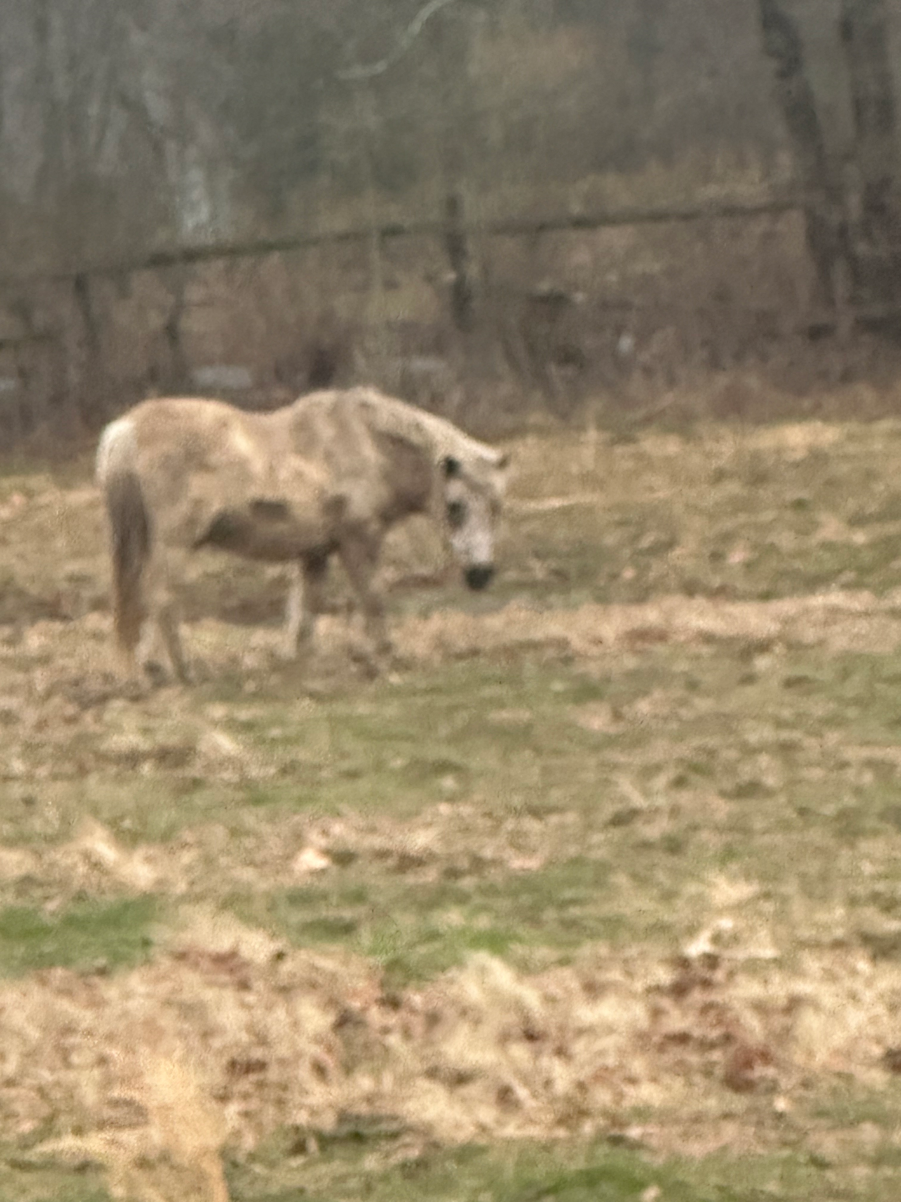 user avatar image for Ryan Logue