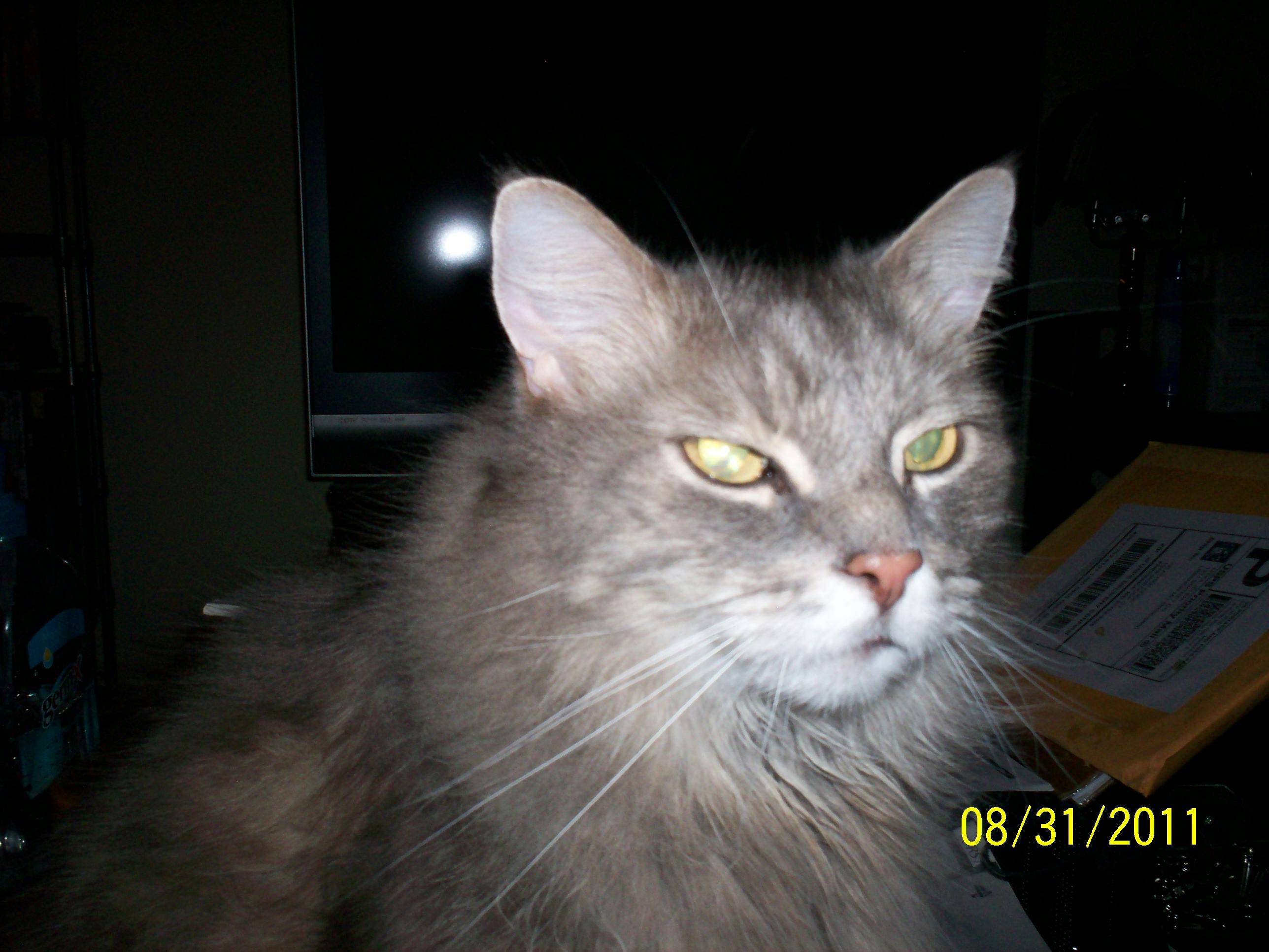 user avatar image for Jacob Dodd