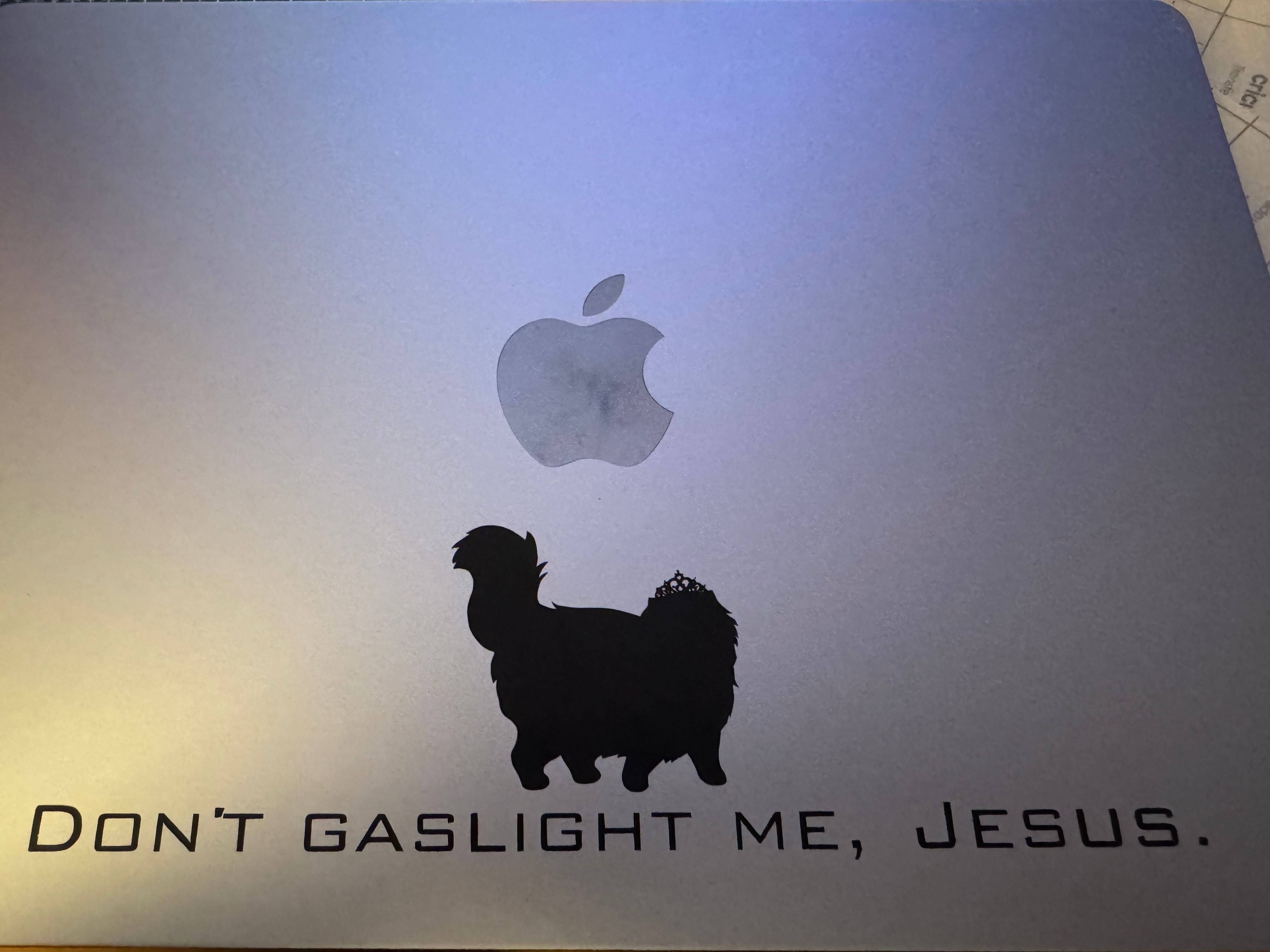 user avatar image for Chele H.