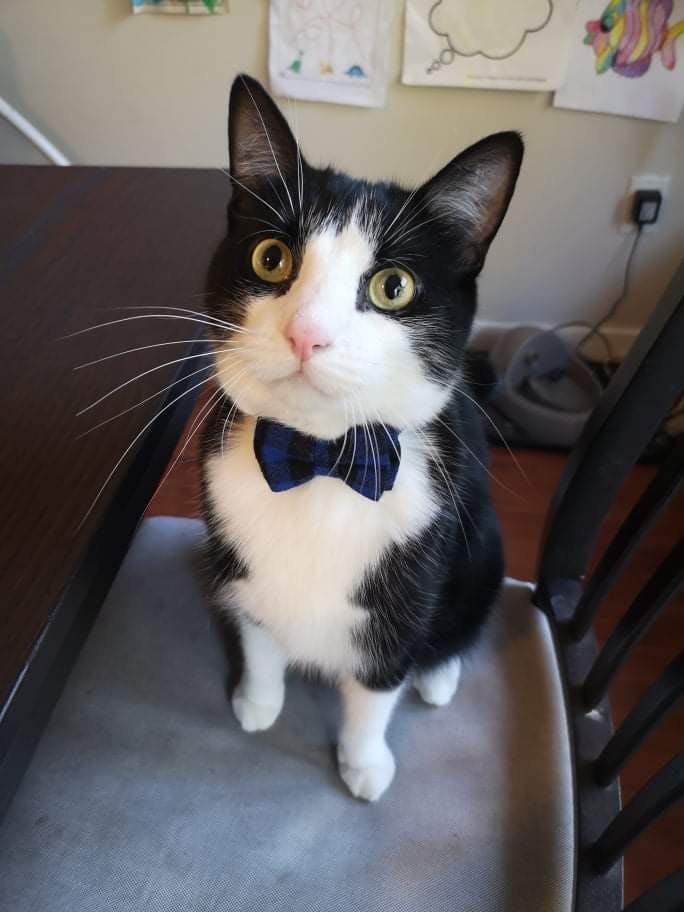 user avatar image for Kayla