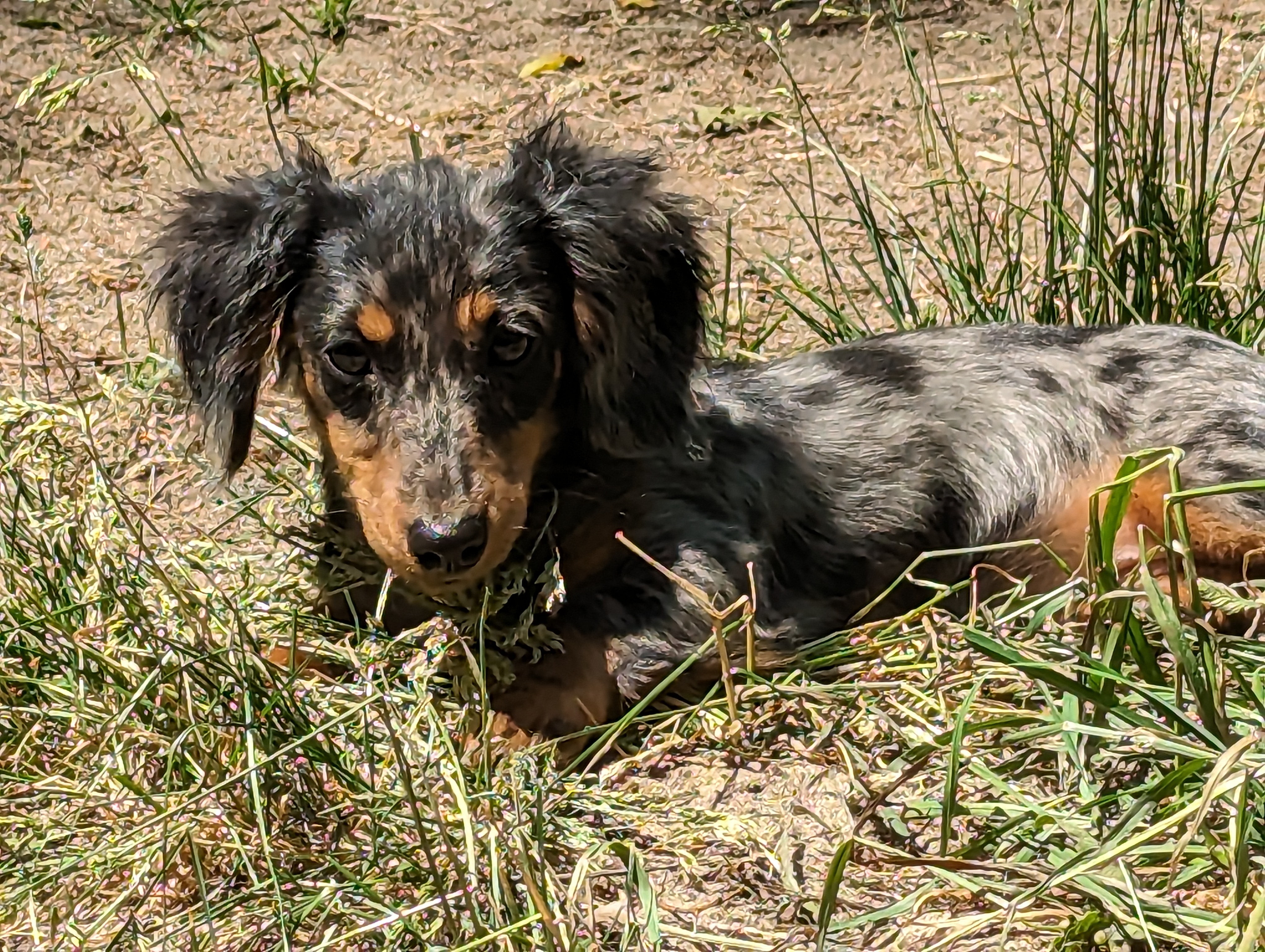 user avatar image for Jayvir