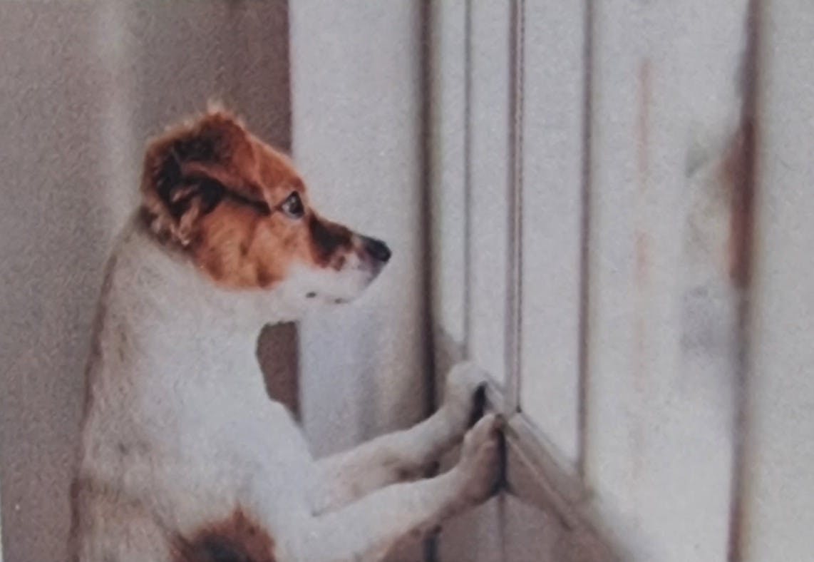 user avatar image for Darryl 